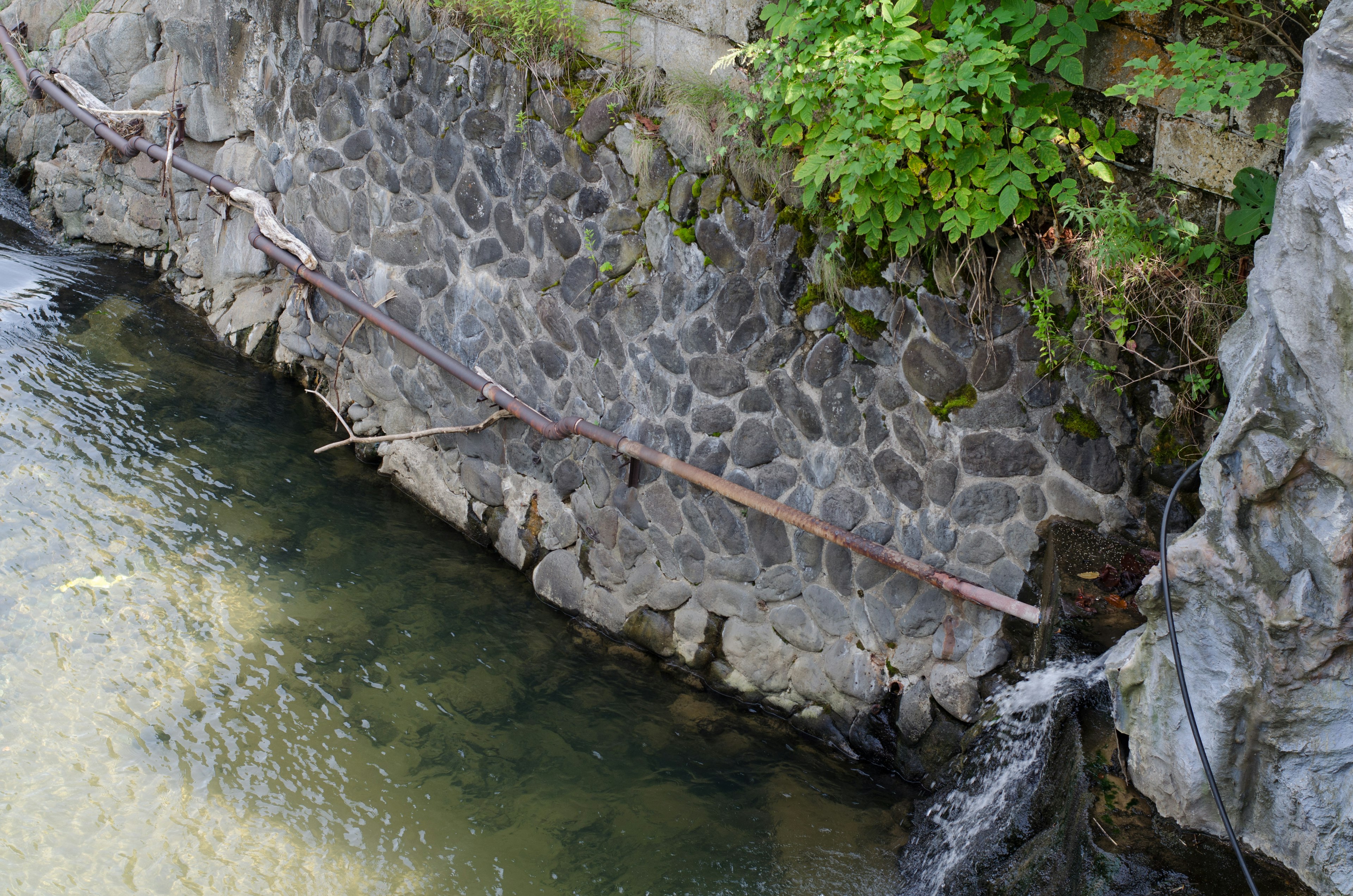 石造りの川岸と緑の植物がある風景