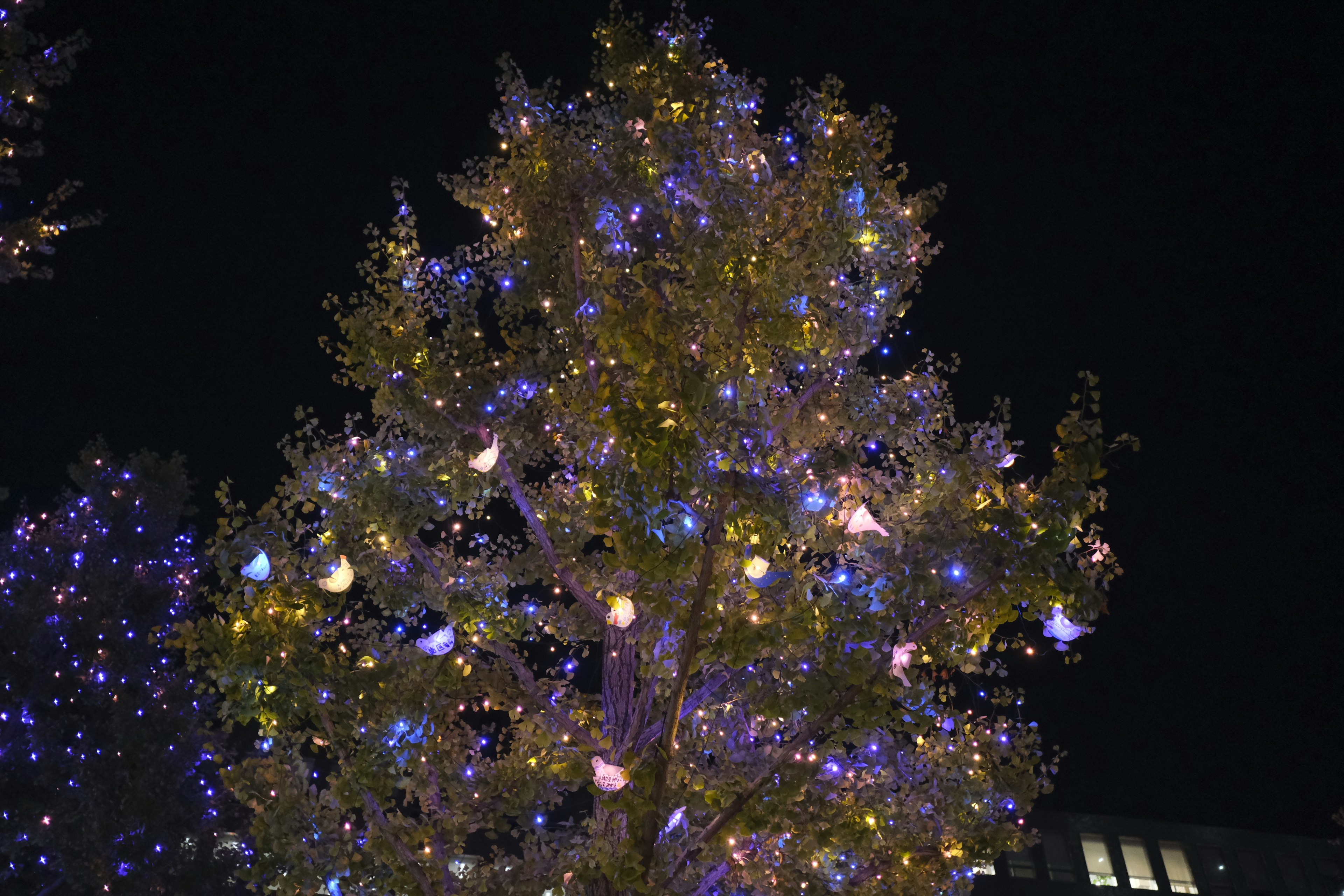 Bunte Weihnachtsbaumdekorationen leuchten in der Nacht