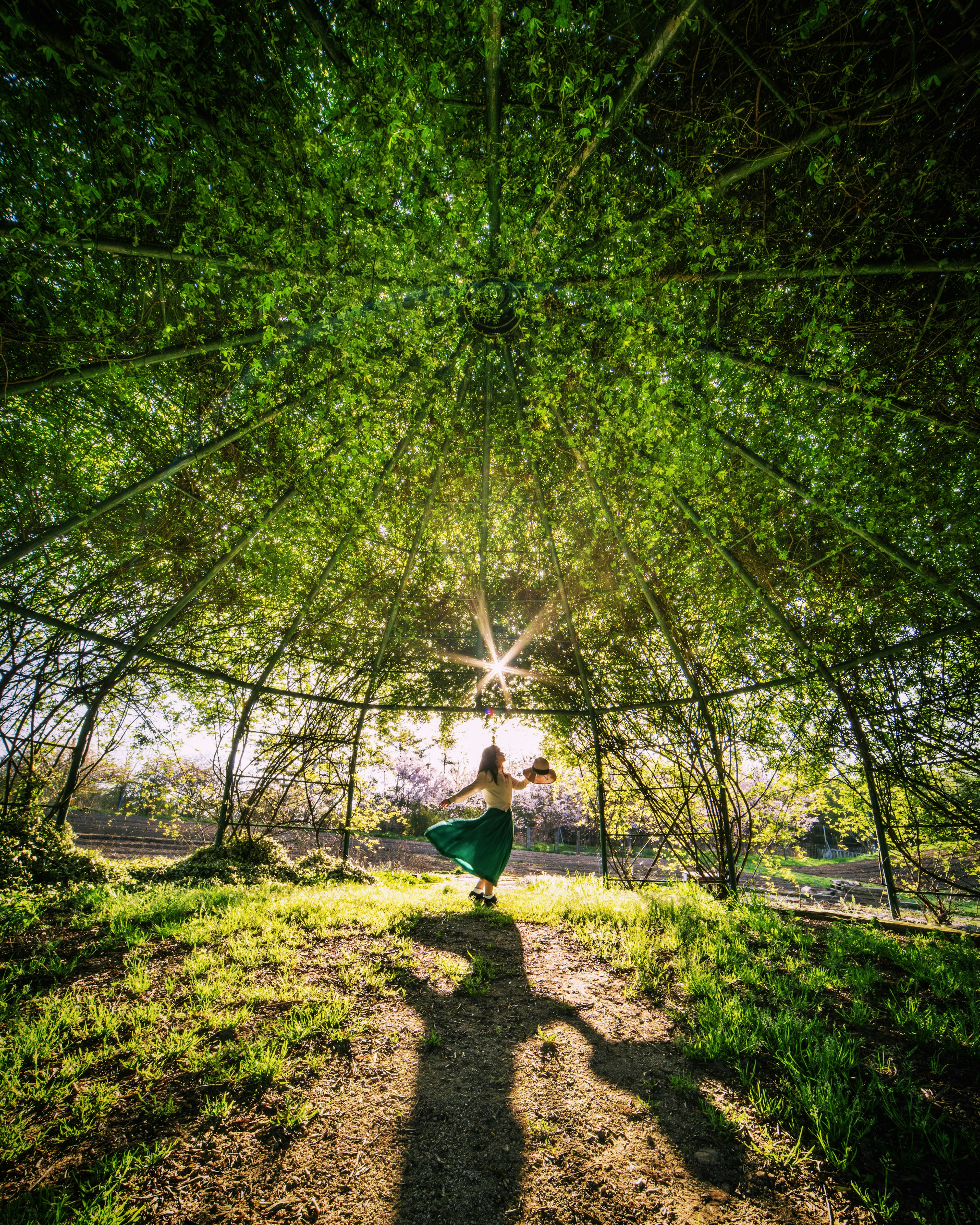 Silueta de una mujer bailando bajo un dosel de hojas verdes con luz solar