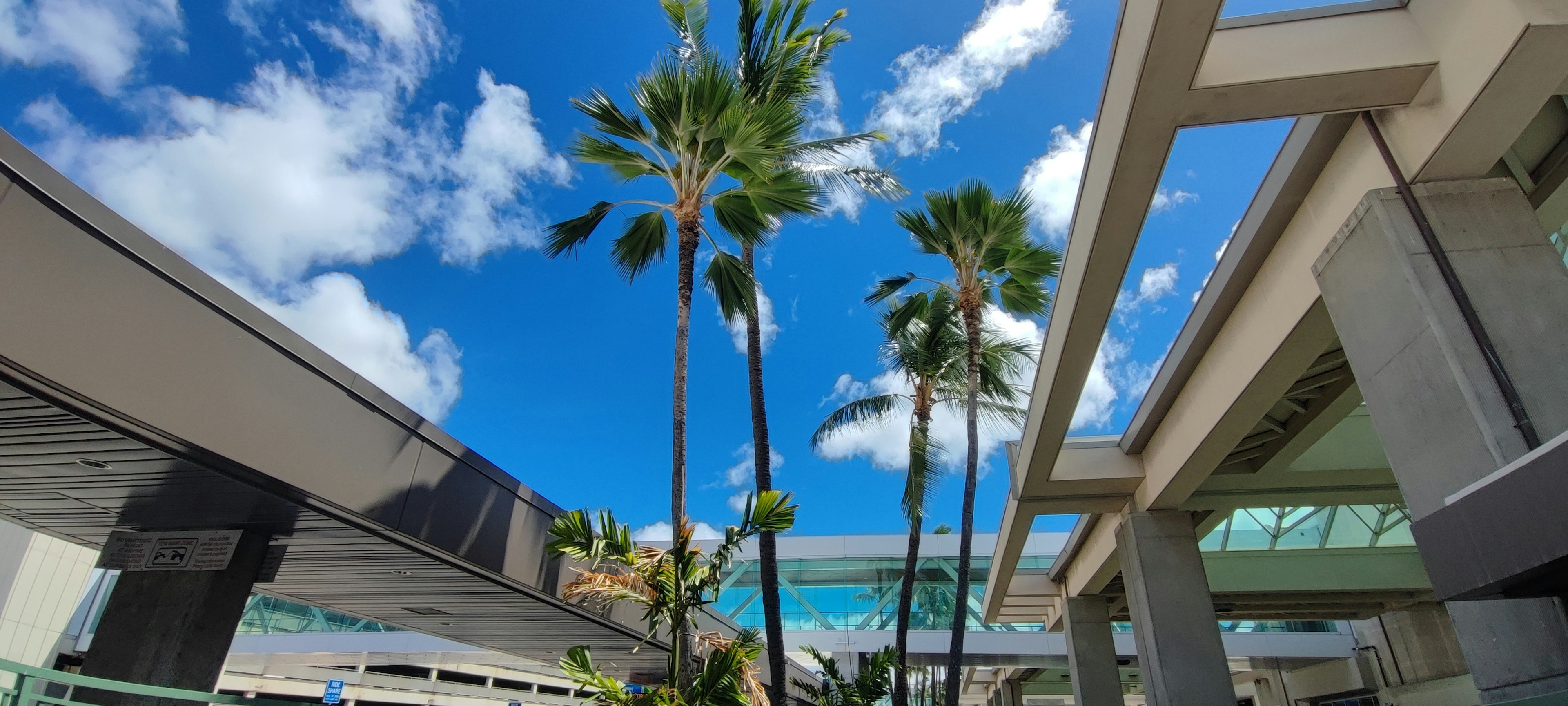 Modern building exterior with palm trees and blue sky