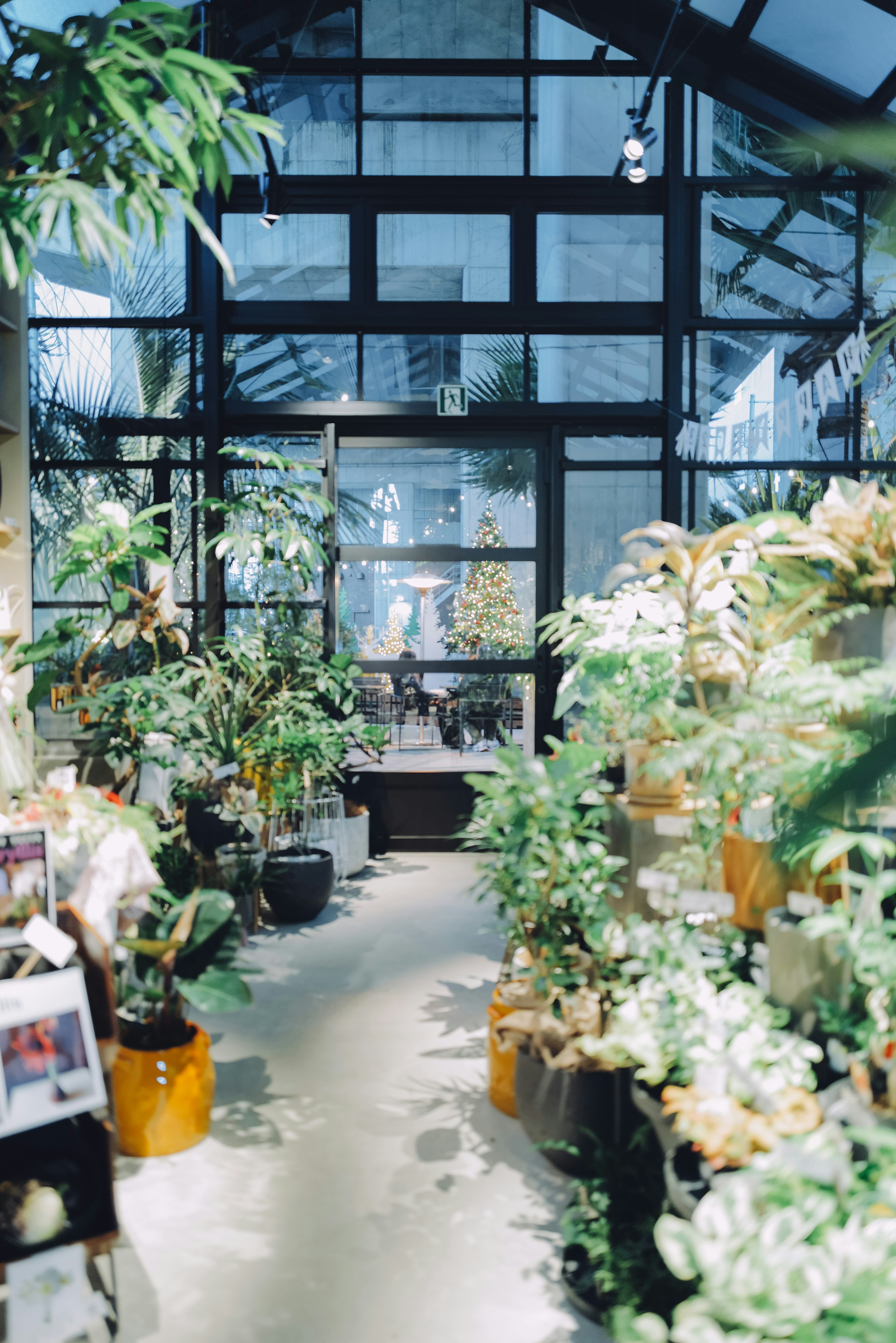 Interior of a greenhouse filled with lush plants Bright light streaming through large windows