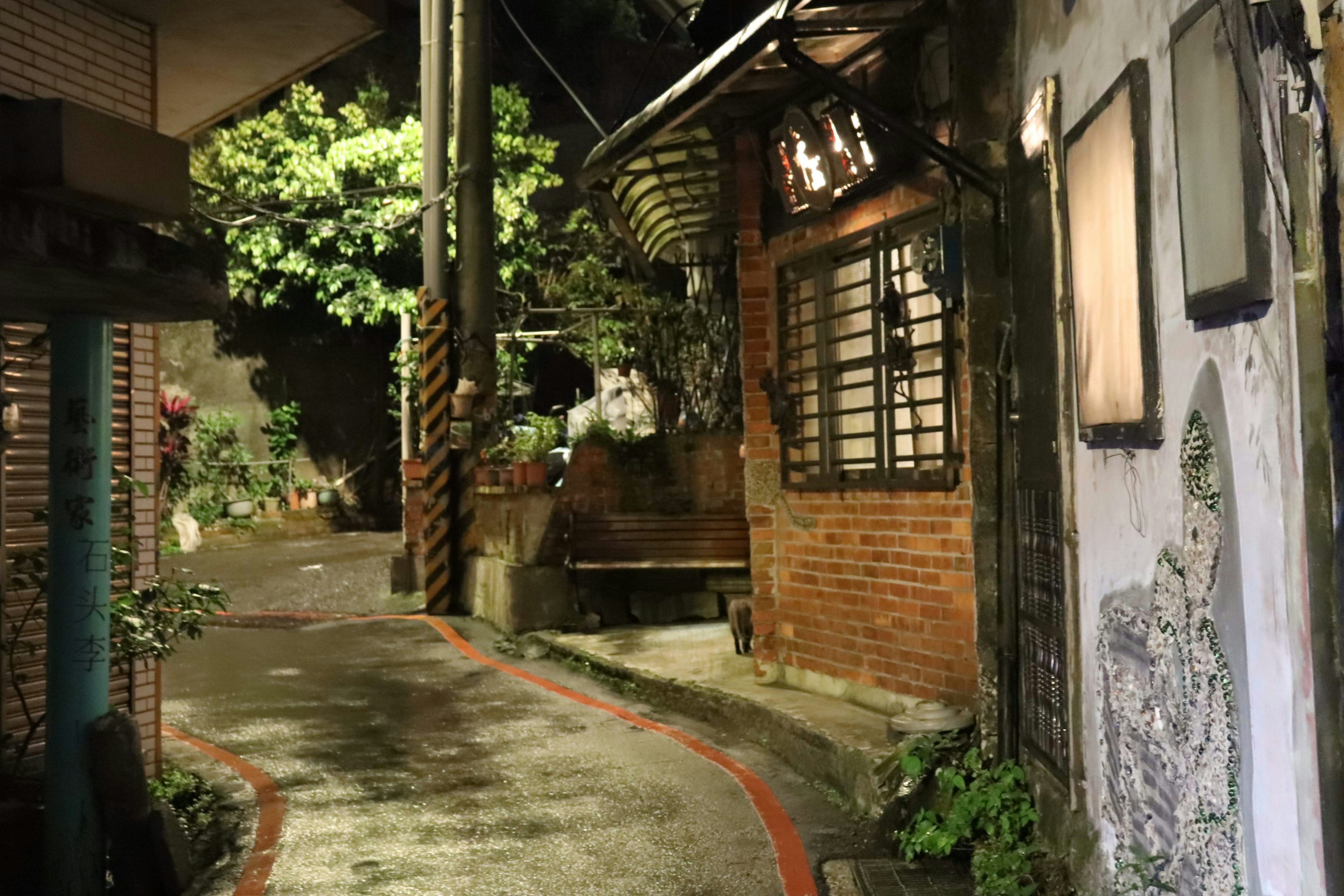 夜の小道に沿った古いレンガの家々と緑の植物