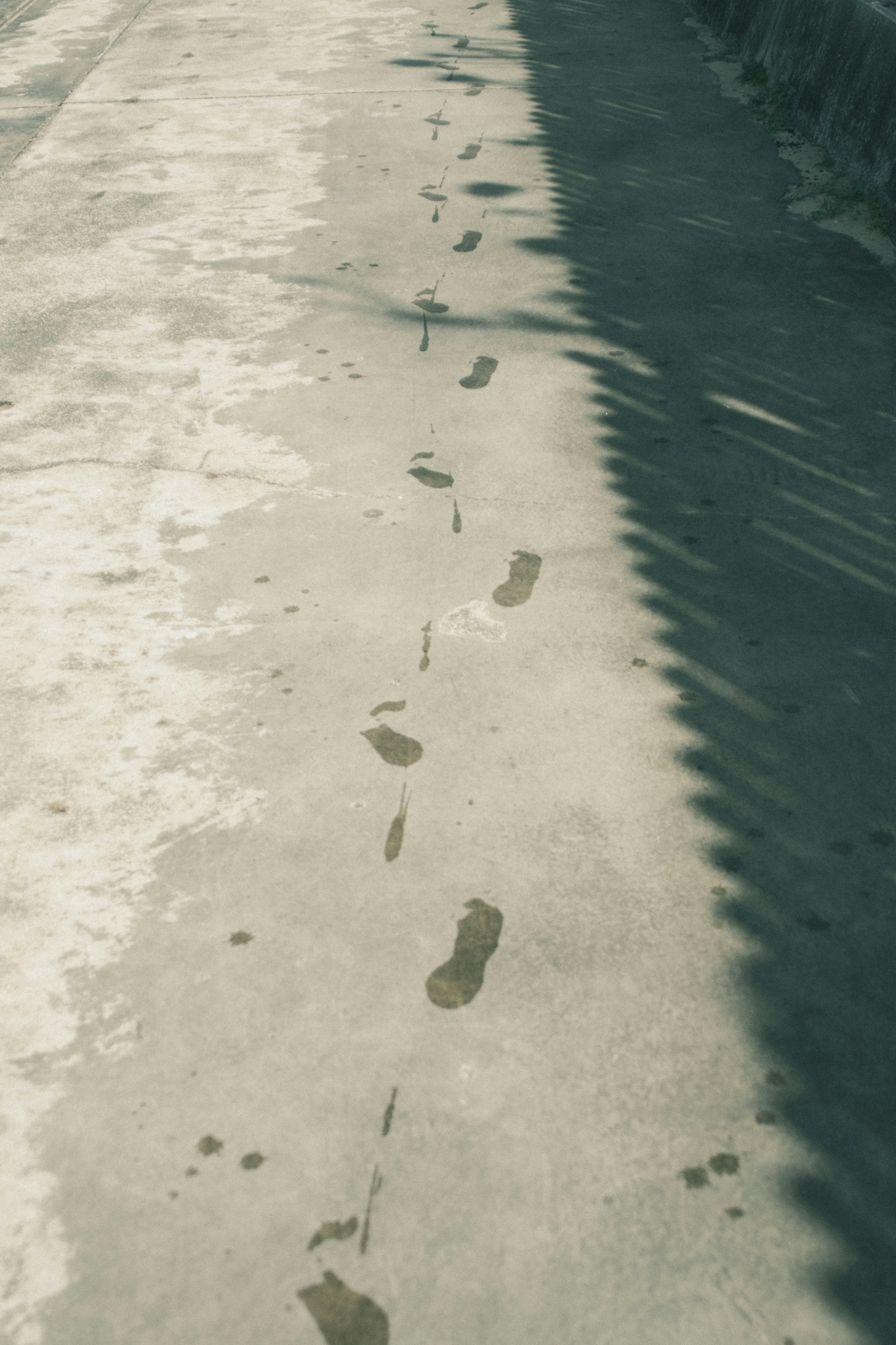 Une rangée d'empreintes de pas sur un trottoir avec des ombres