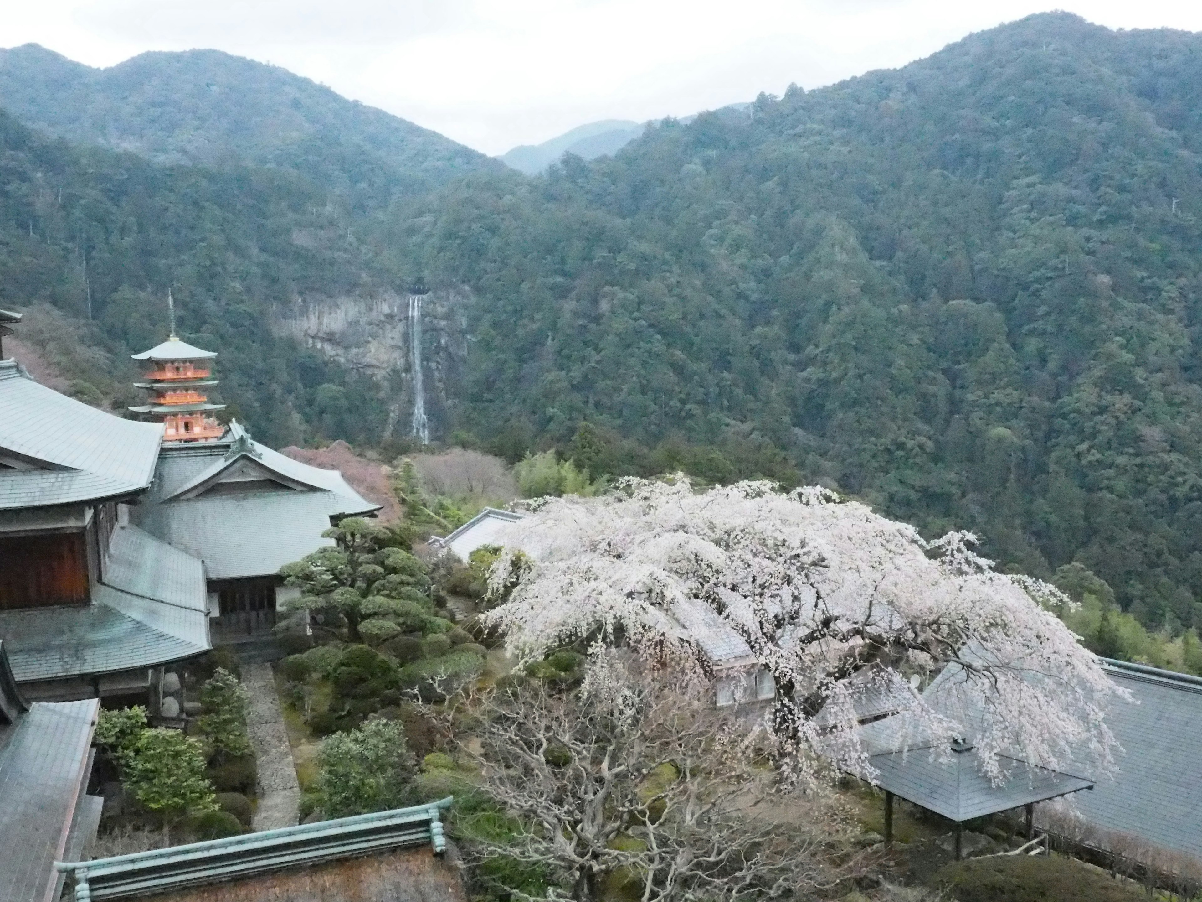 Edificio japonés tradicional rodeado de montañas con árbol de cerezo y cascada