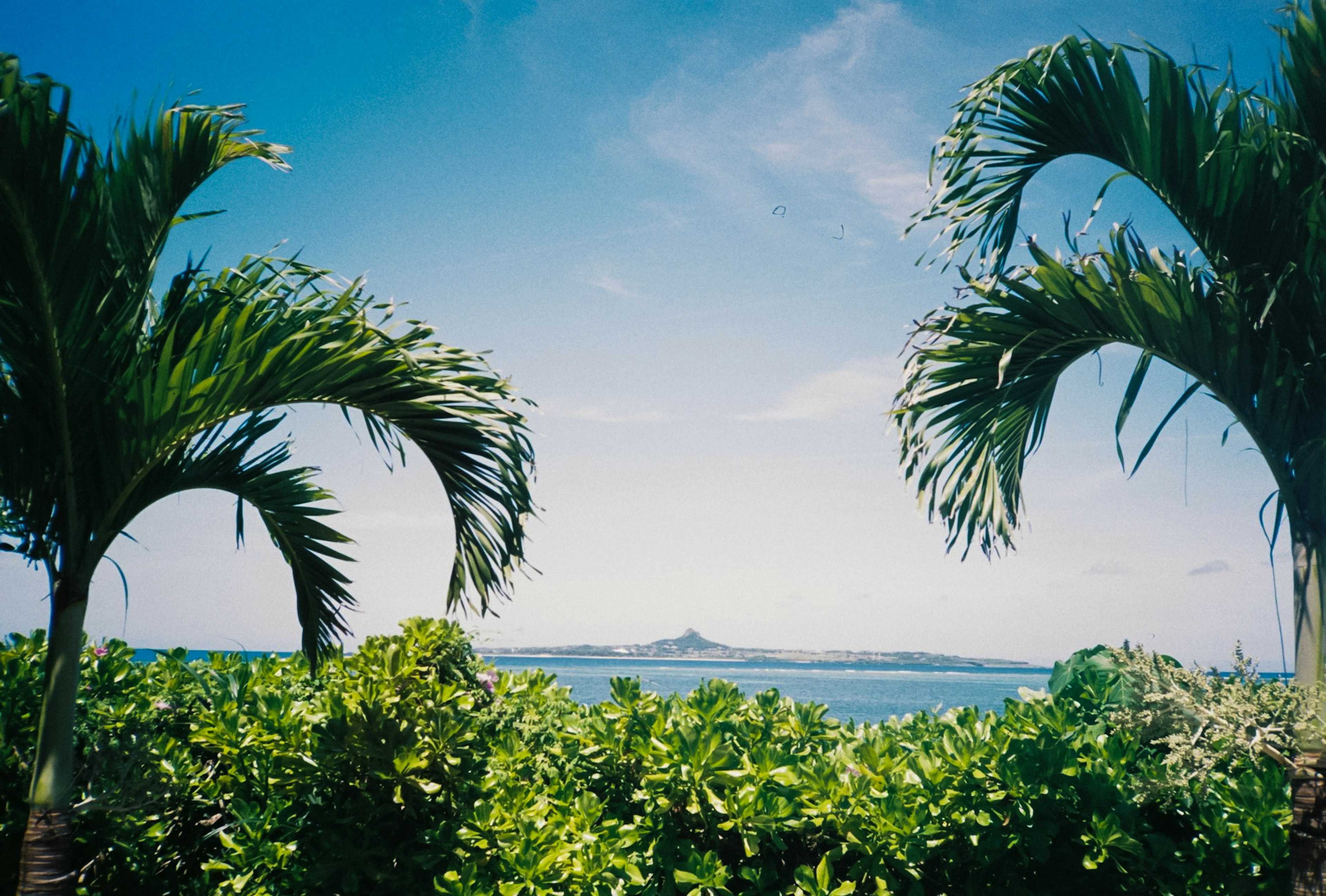 Isola vista attraverso le palme contro un cielo blu e l'oceano