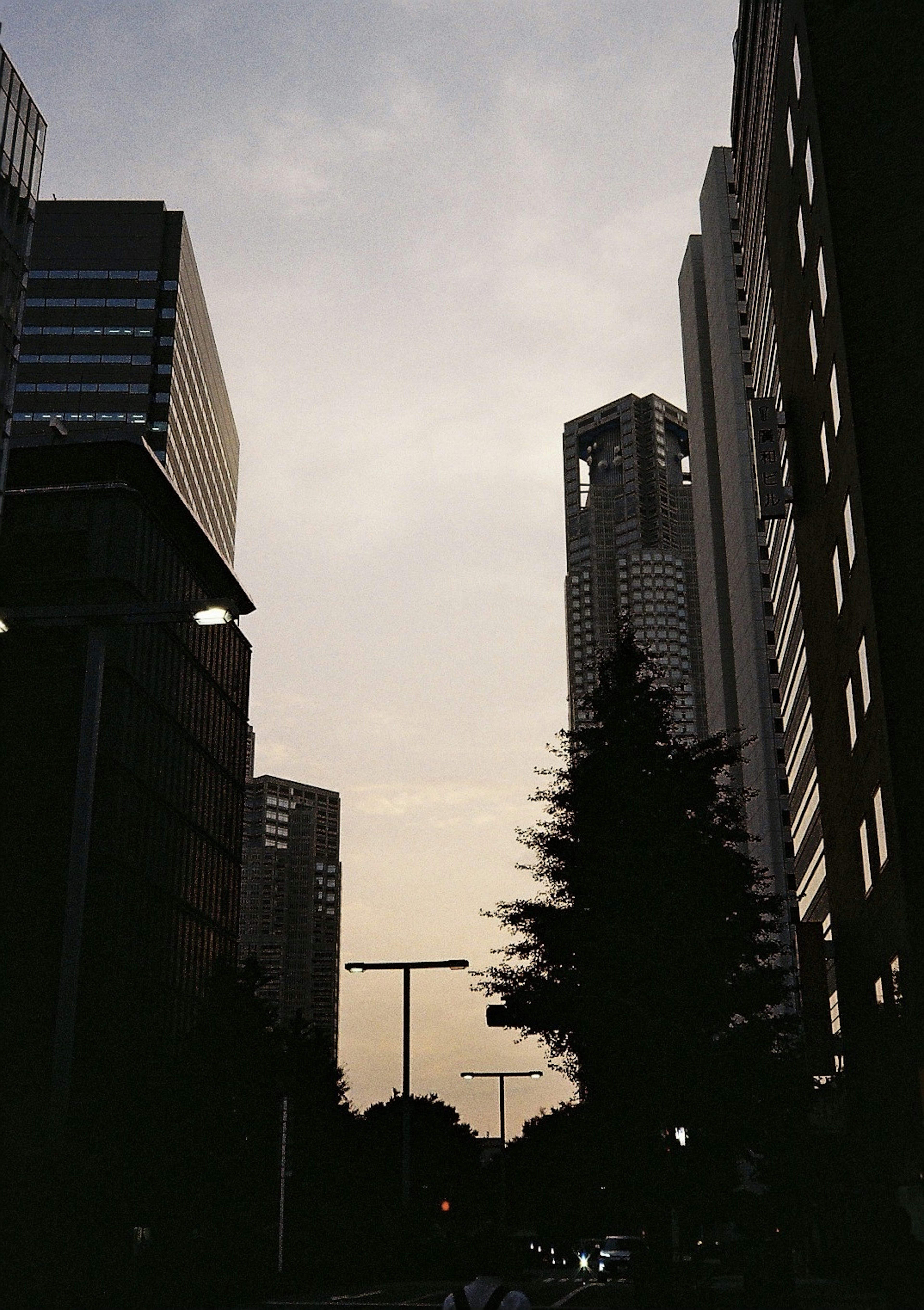 Silhouette of a city at dusk featuring tall buildings and streetlights