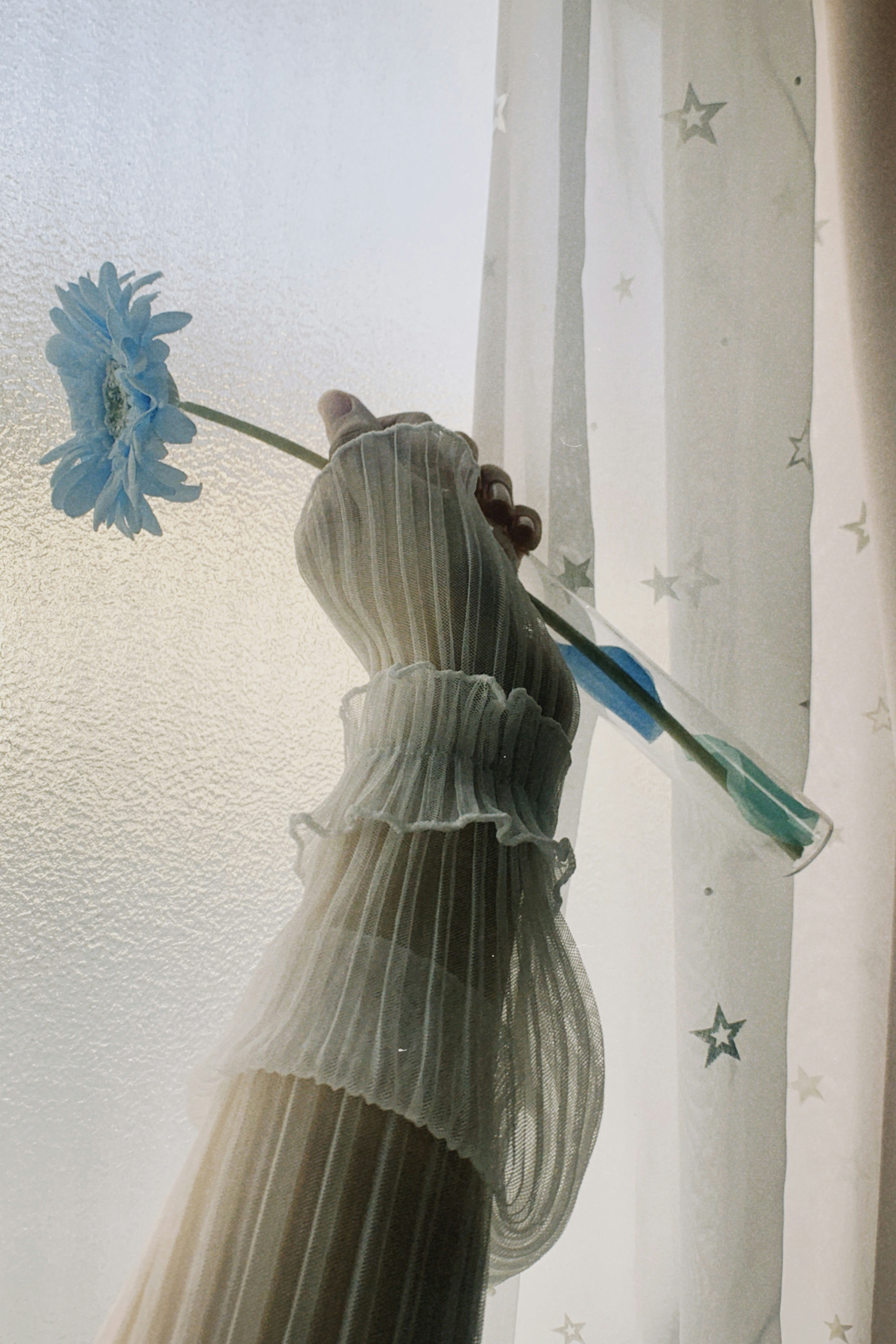 Hand holding a blue flower through a sheer curtain with ruffled gloves