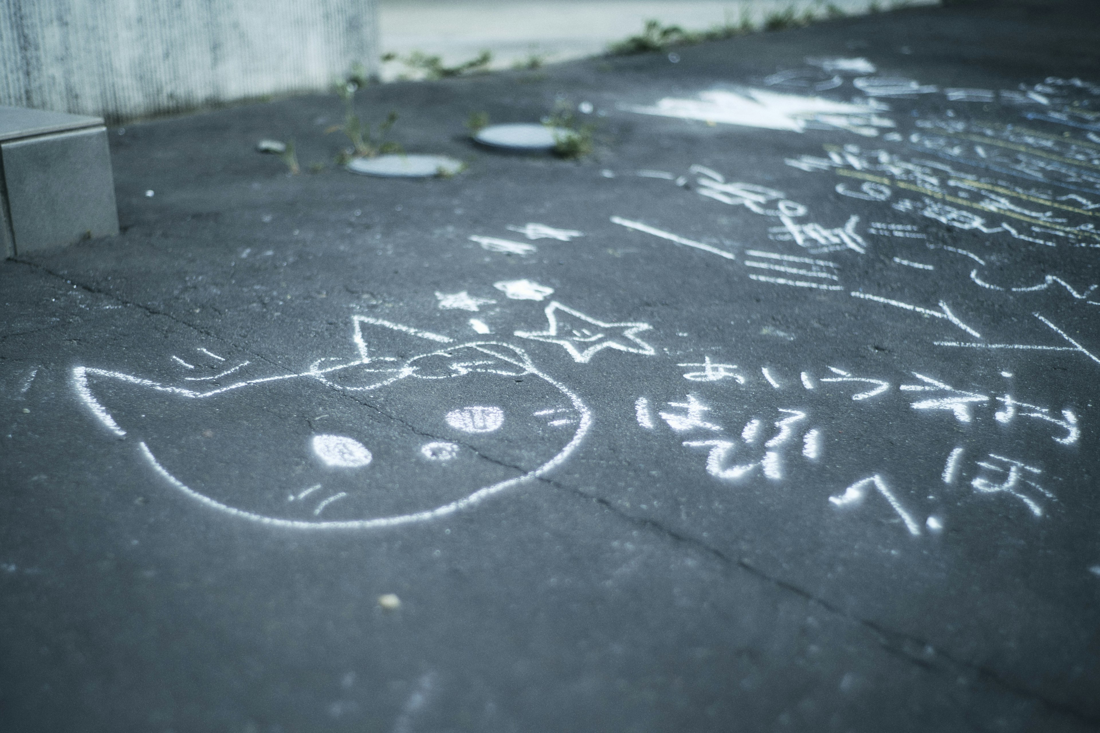 Chalk drawing of a cat's face and star on the ground white chalk graffiti