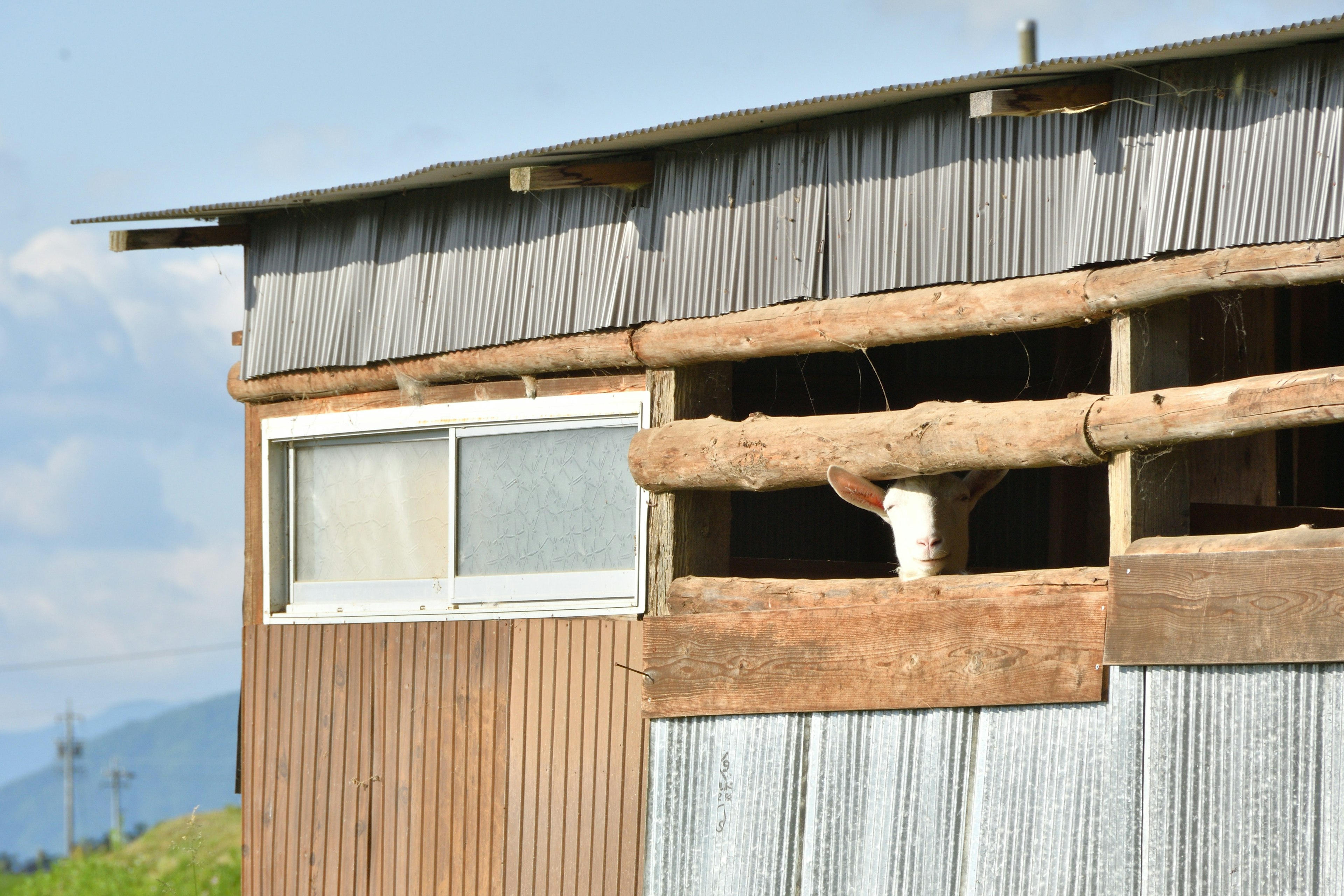 木材と金属で構成された小屋の一部 窓と木の梁が見える