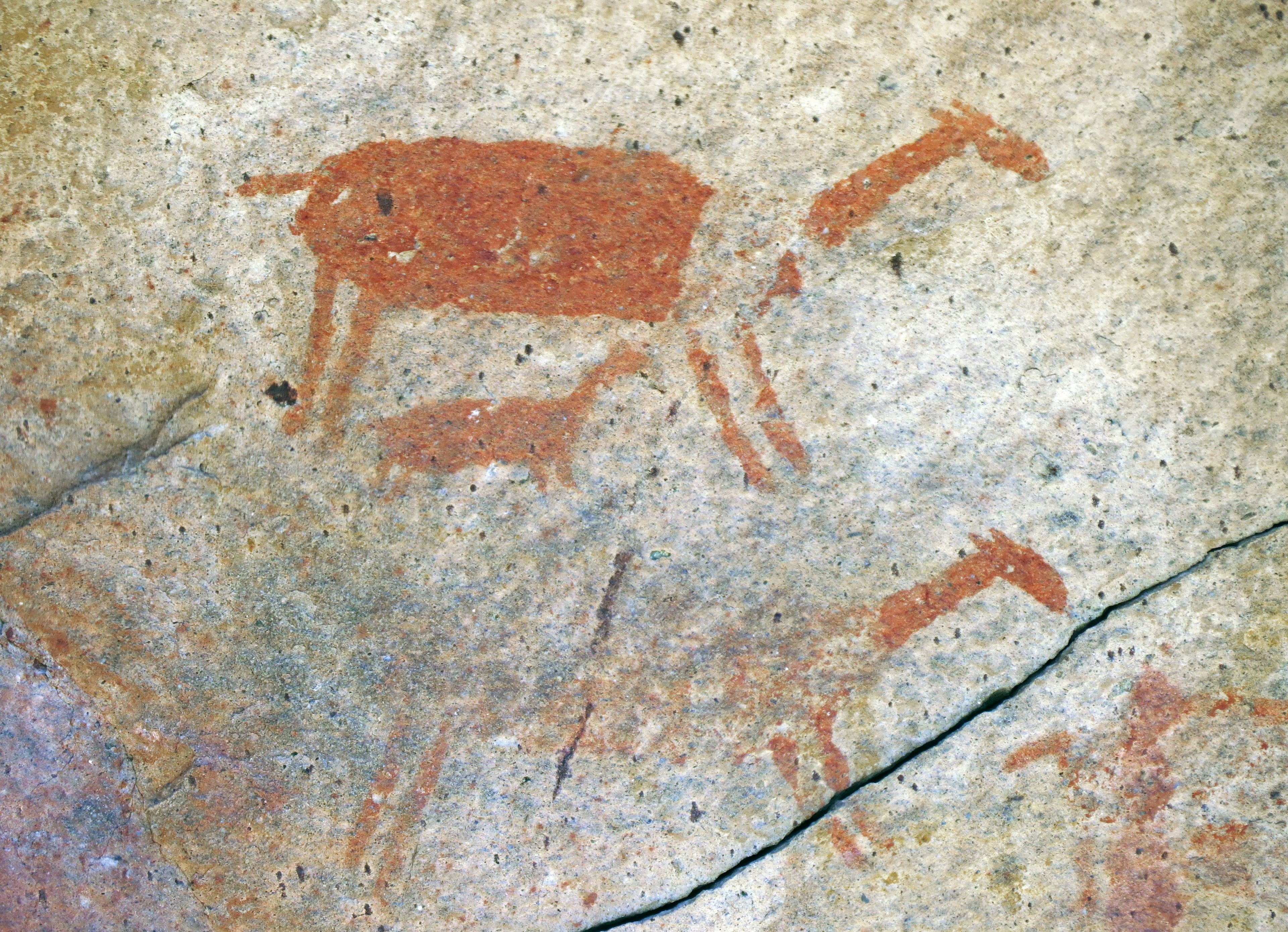 Ancient rock wall depicting animal paintings Animal figures rendered in red pigment