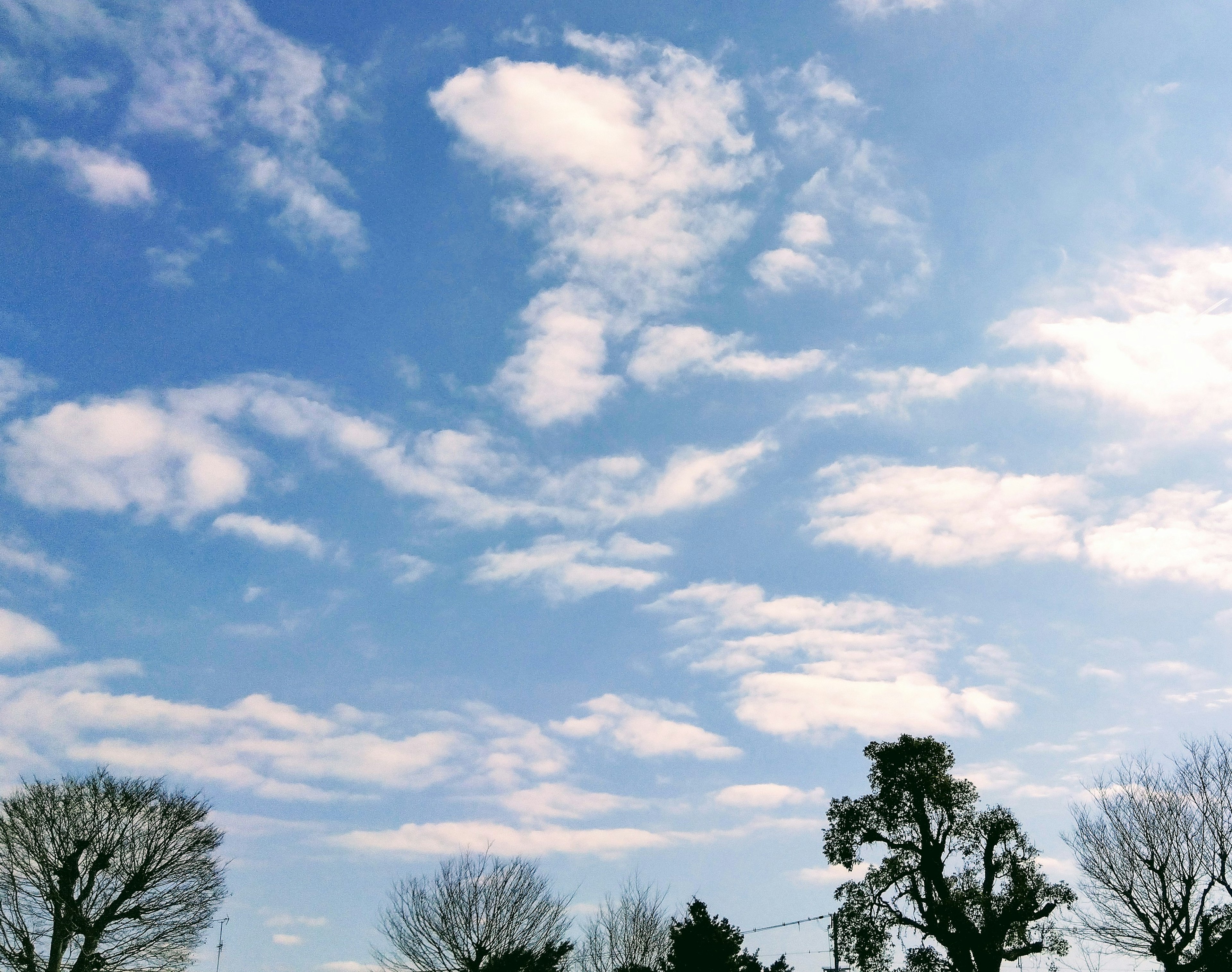 Pemandangan langit biru dengan awan putih berbulu