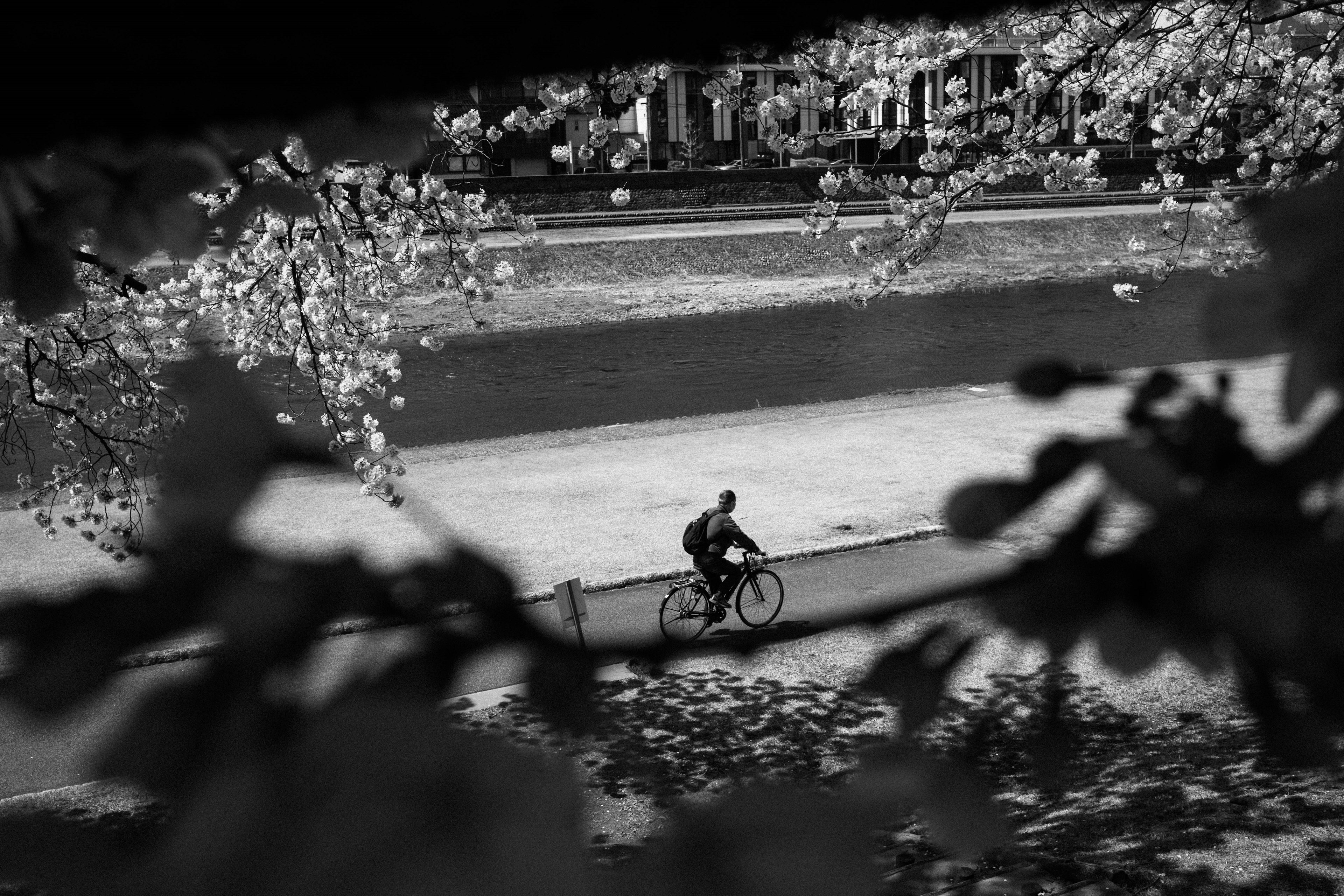 自転車に乗る人物が川のそばを走っているモノクロの風景