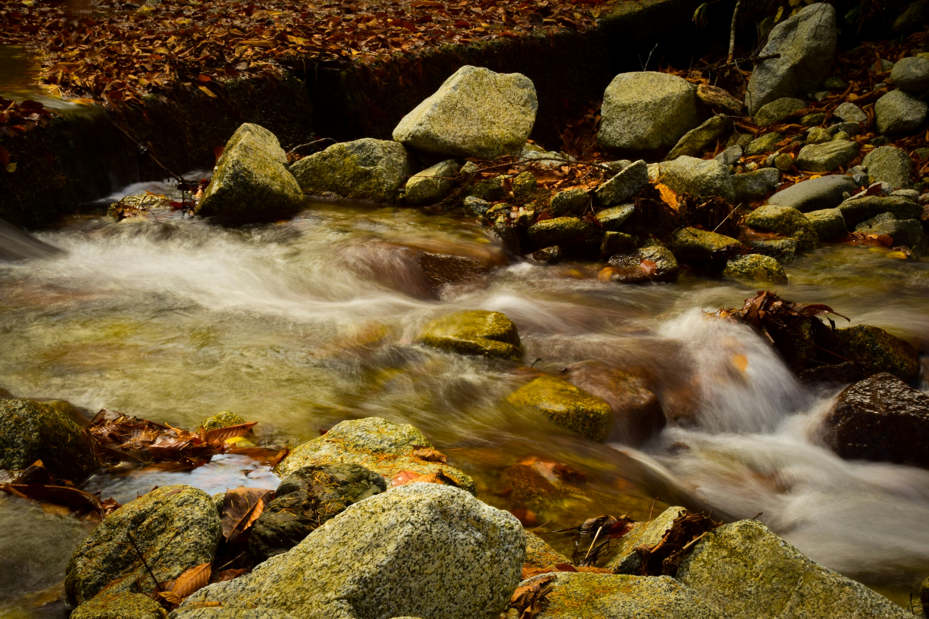 Ruscello che scorre con rocce e foglie d'autunno