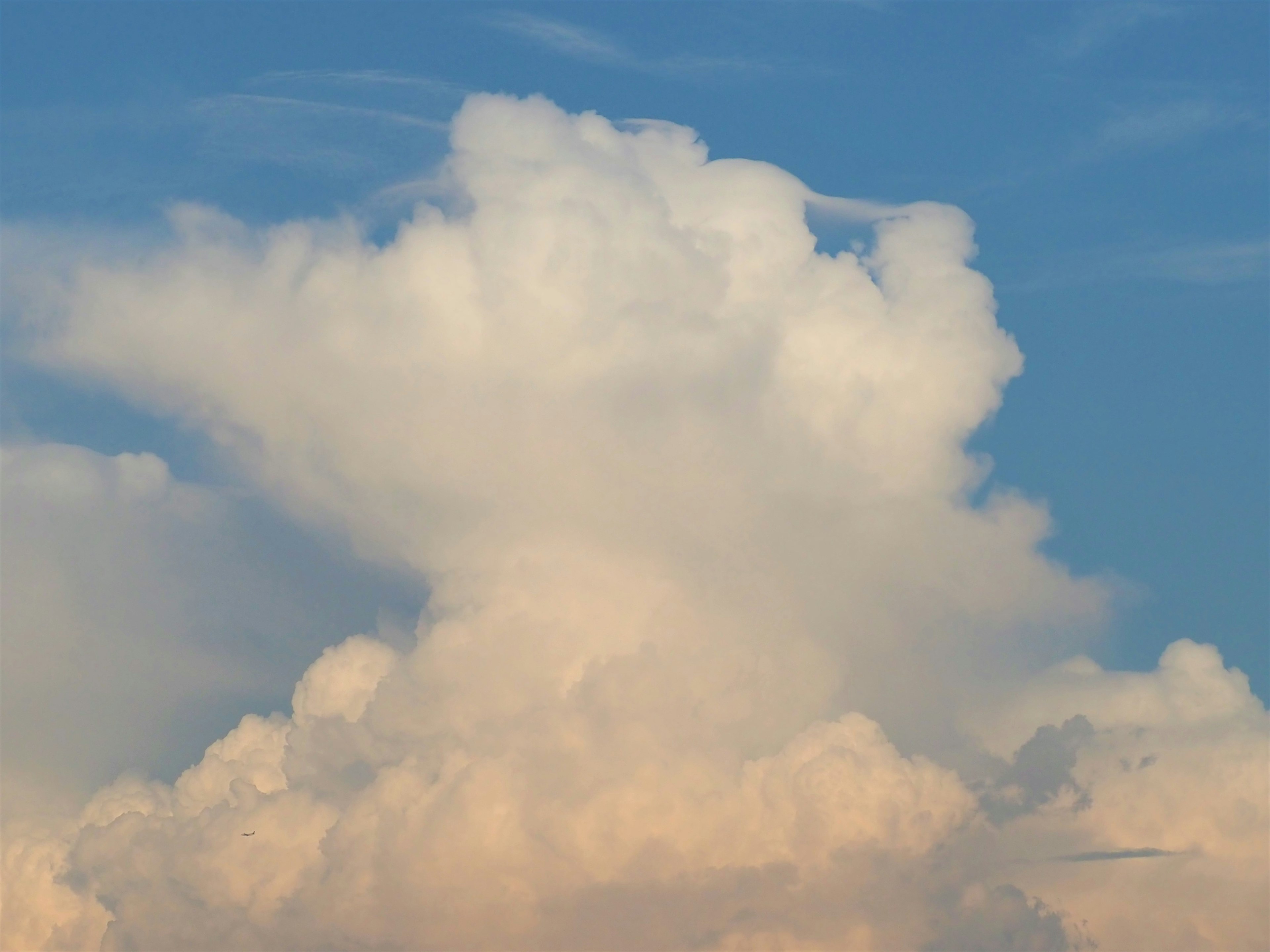 青空に浮かぶ白い雲の塊