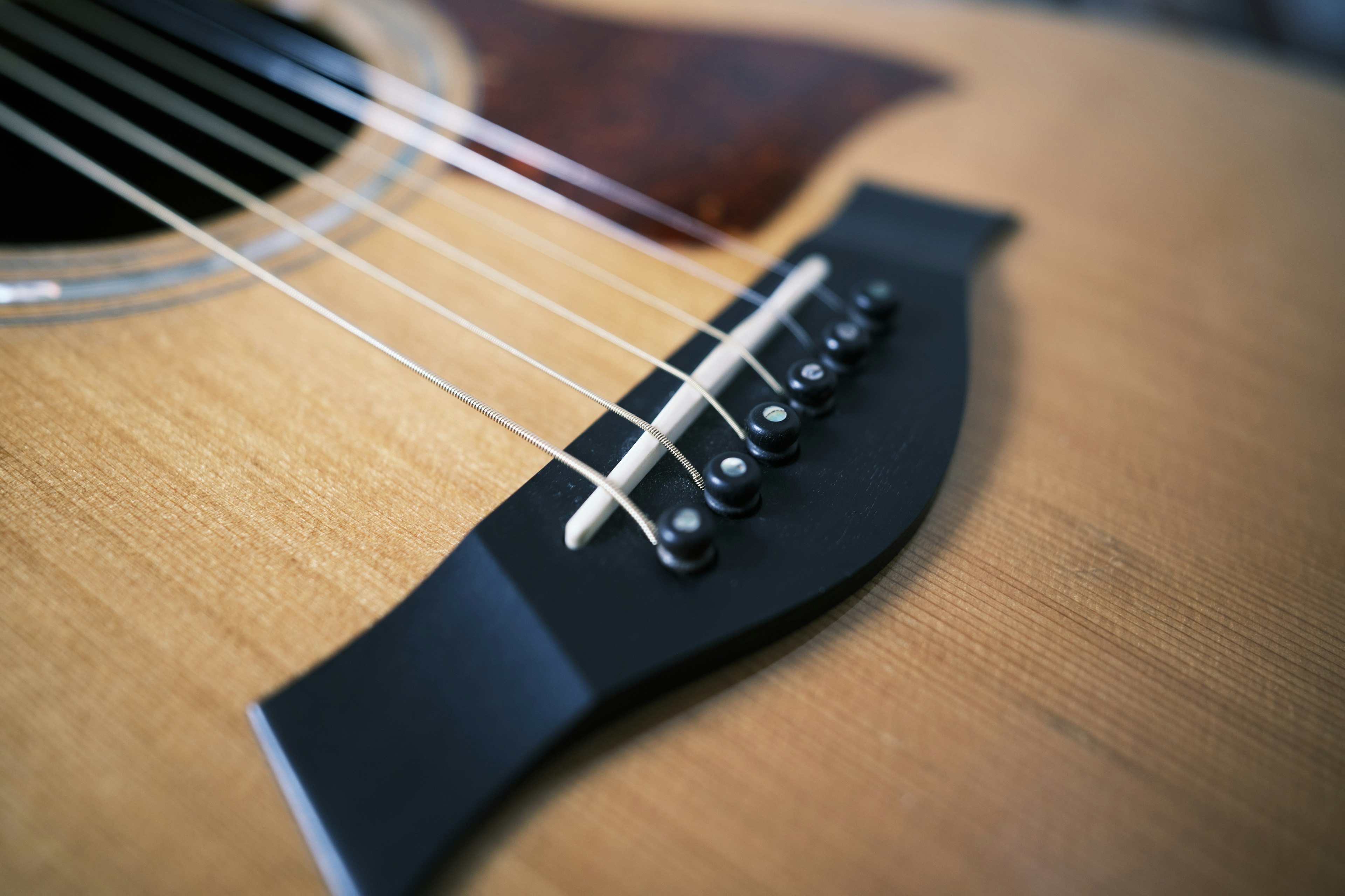 Close-up of a guitar bridge and strings