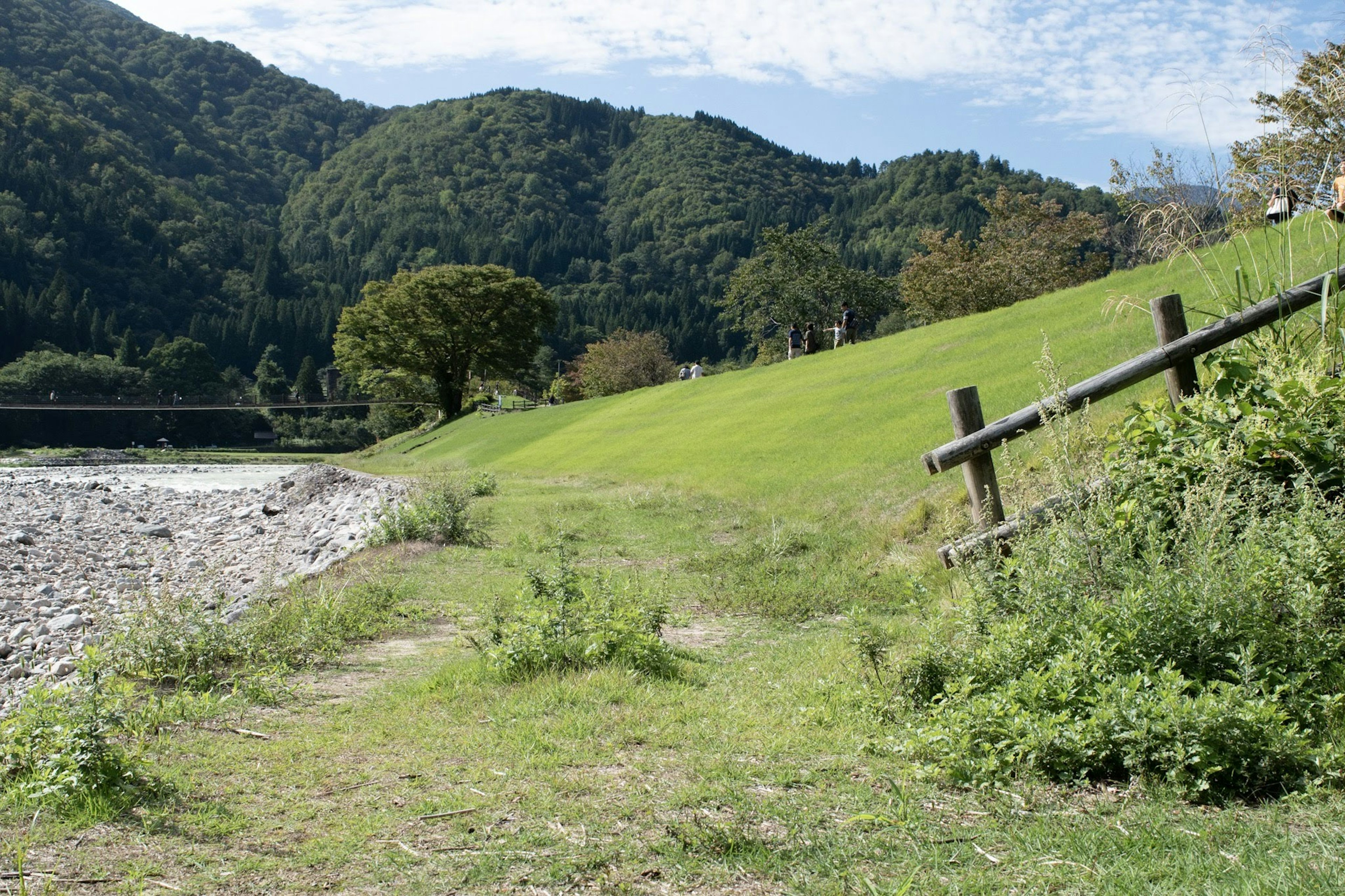 Vista panoramica di un prato verde e montagne vicino a un fiume