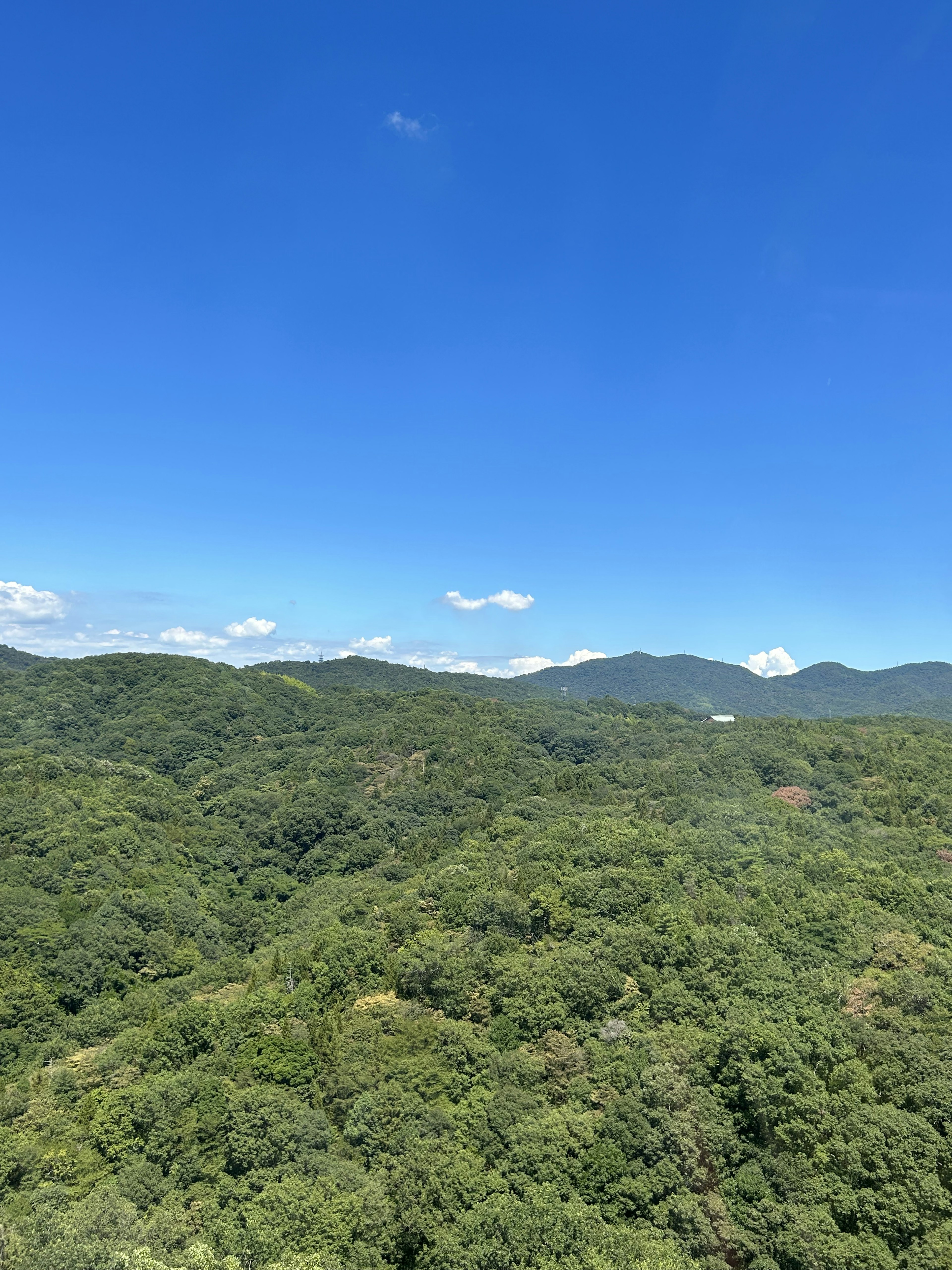 Montagne verdi sotto un cielo blu chiaro