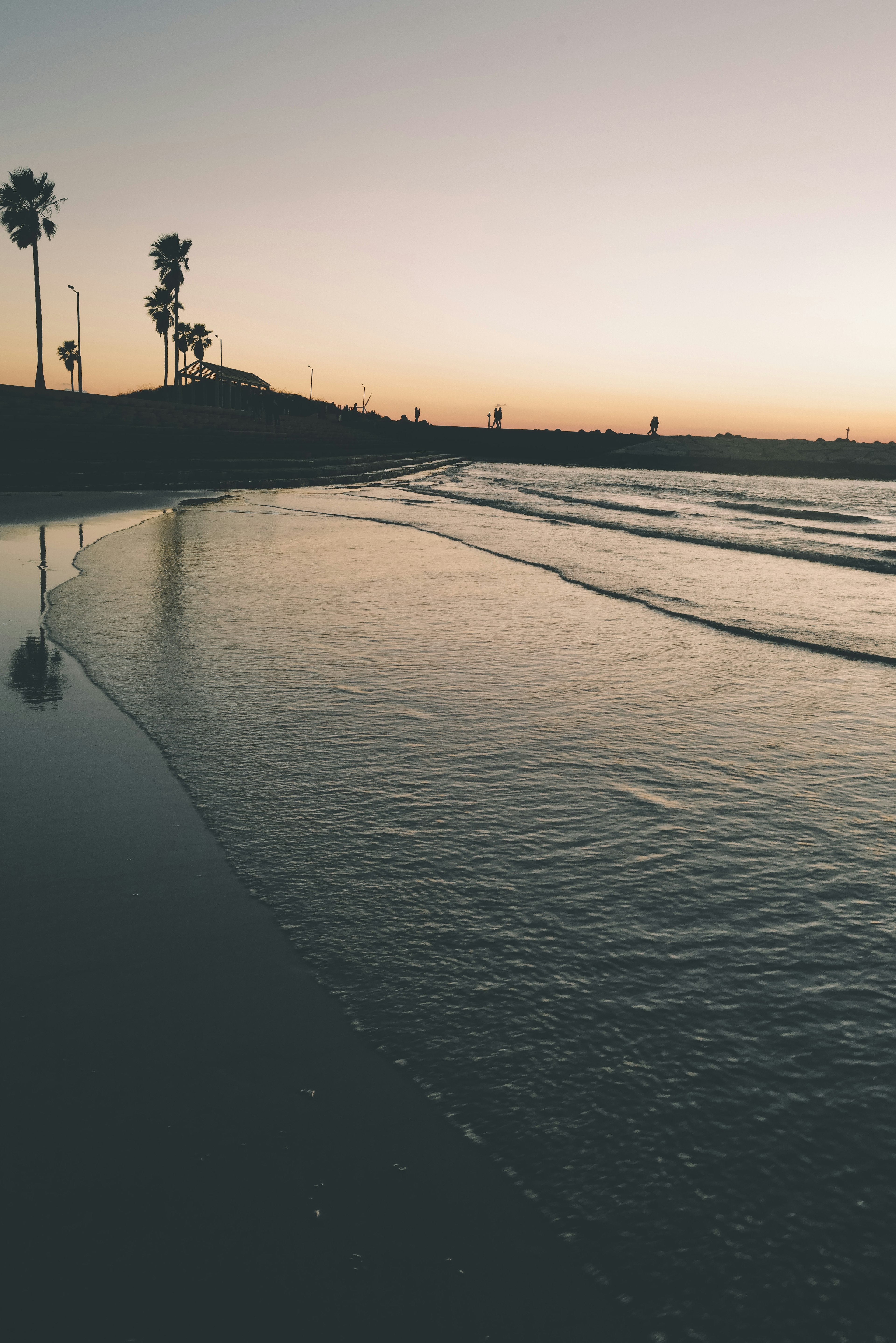 Scena di spiaggia al crepuscolo onde leggere palme in silhouette