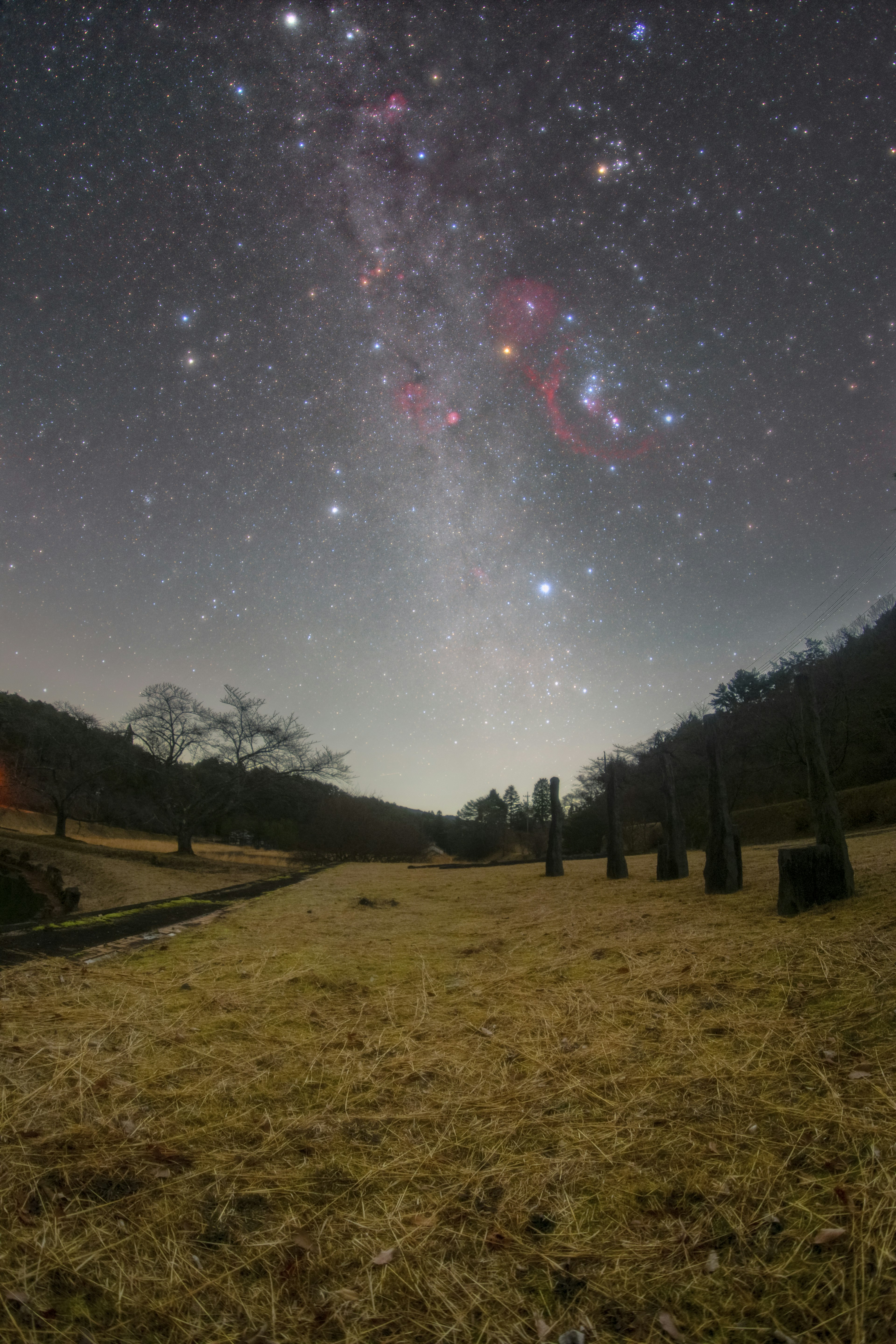 星空と草原の風景に広がる天の川