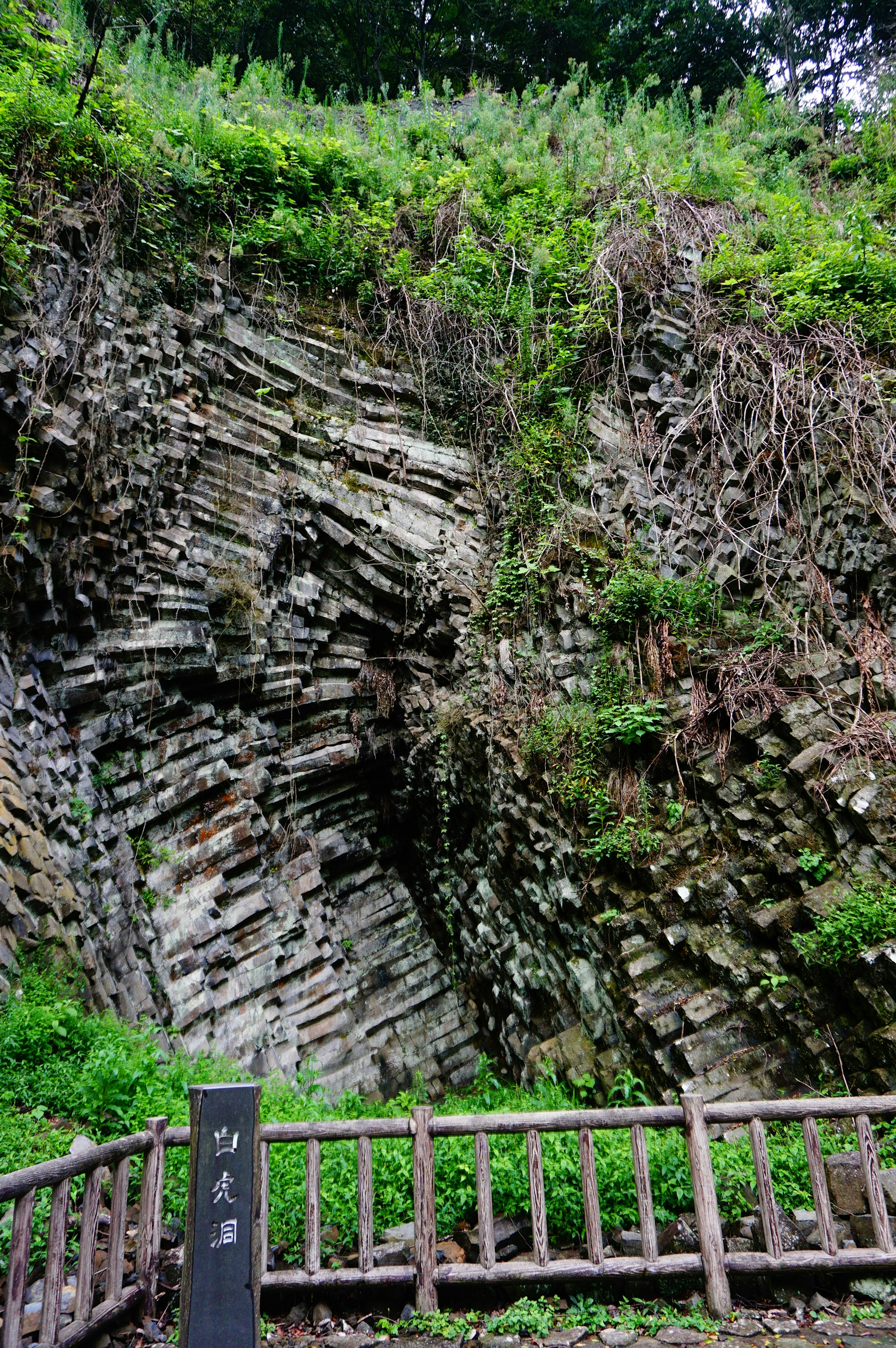 Roccia esposta con vegetazione lussureggiante e recinzione in legno