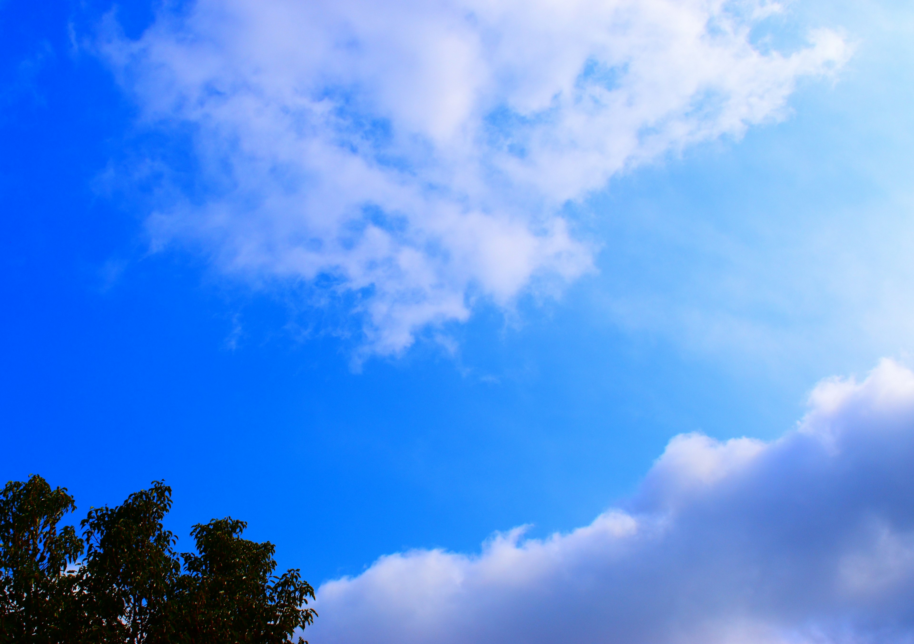 Blue sky with fluffy white clouds and tree silhouettes at the bottom