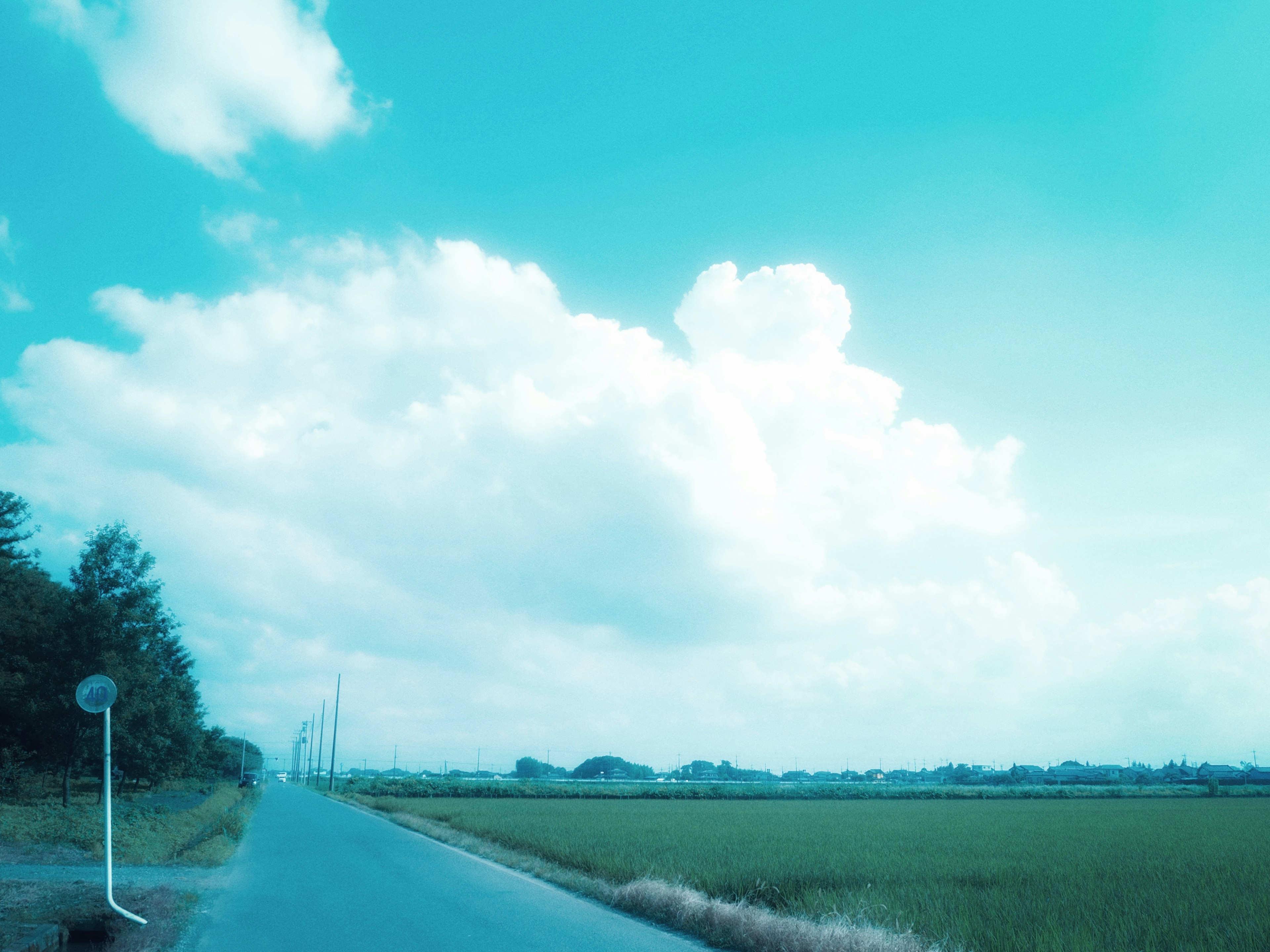 Camino rural con un cielo azul brillante y nubes blancas esponjosas