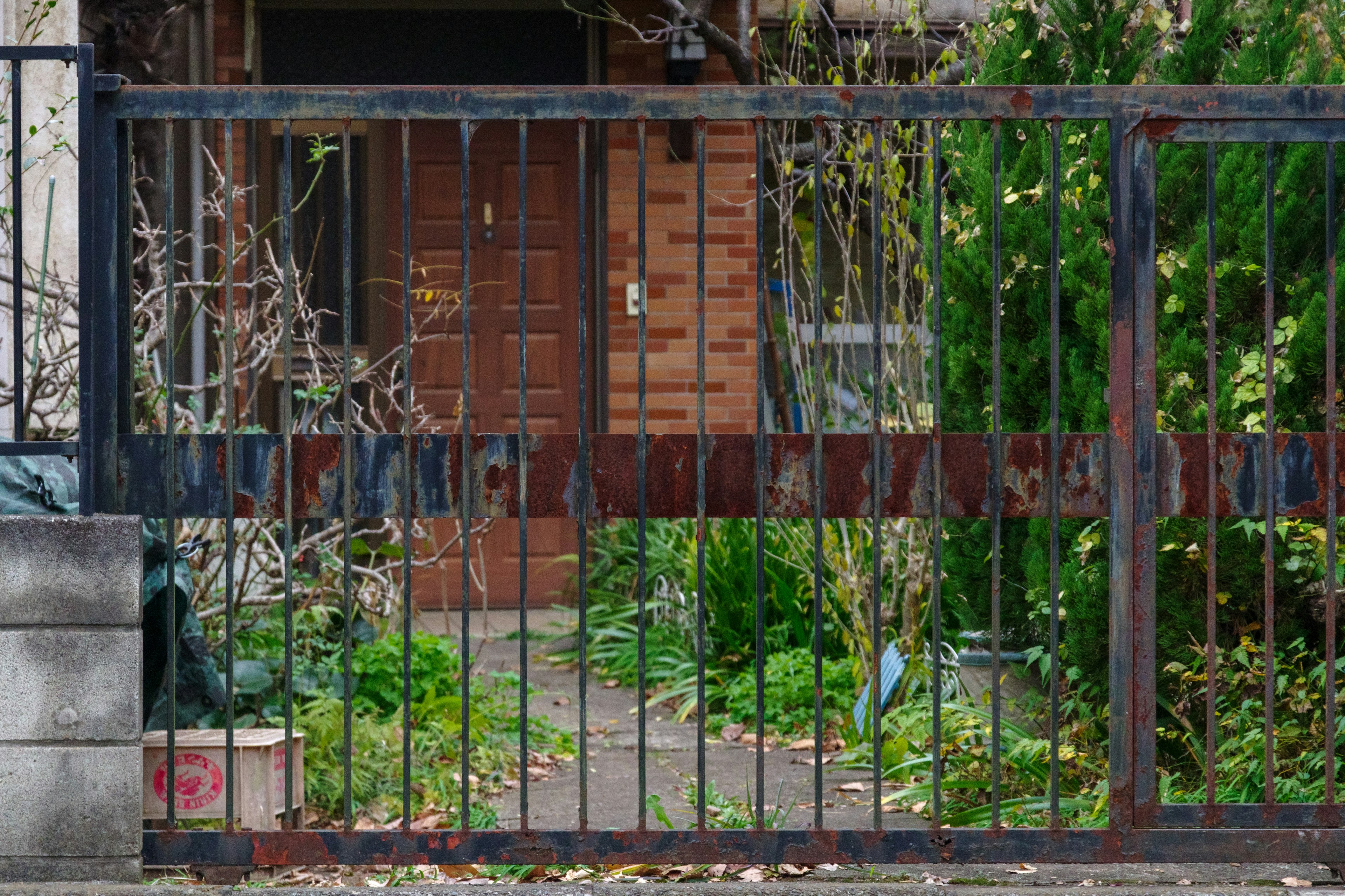 Ancien portail en fer avec une vue sur un jardin verdoyant