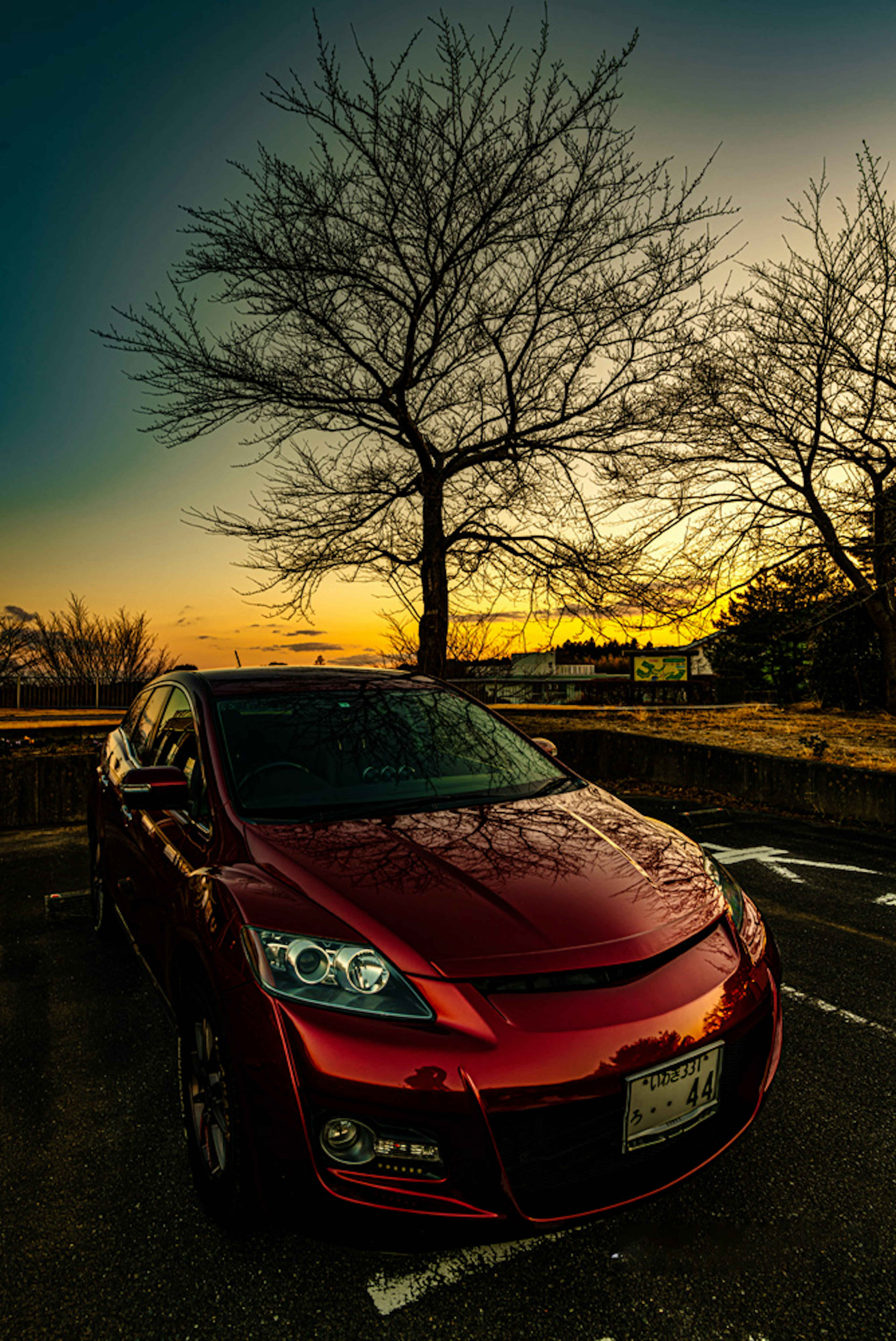 Coche rojo estacionado con fondo de atardecer y árbol desnudo