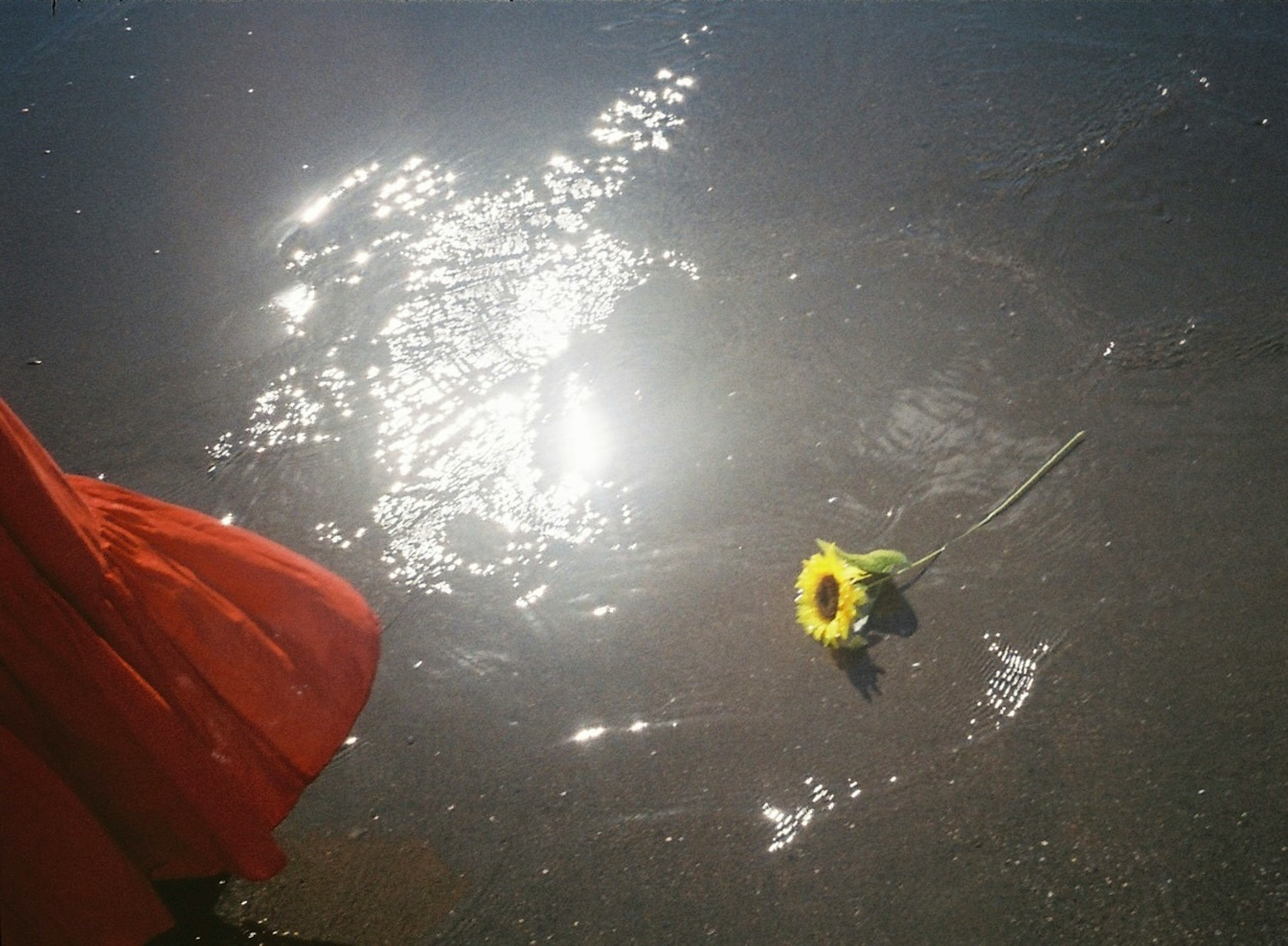 水面に浮かぶ黄色い花とオレンジの布