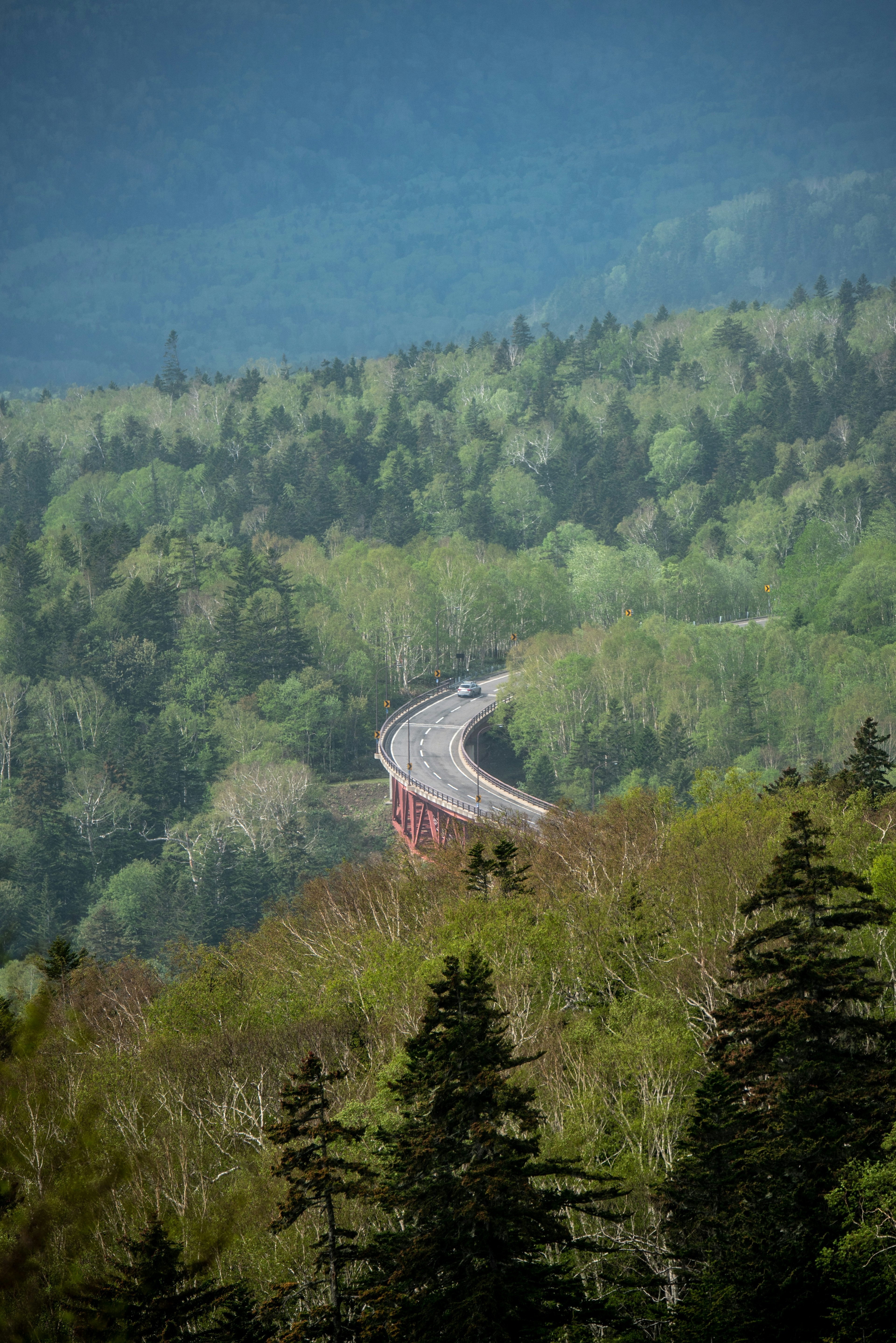 緑に覆われた山々を背景に曲がりくねった道路の風景