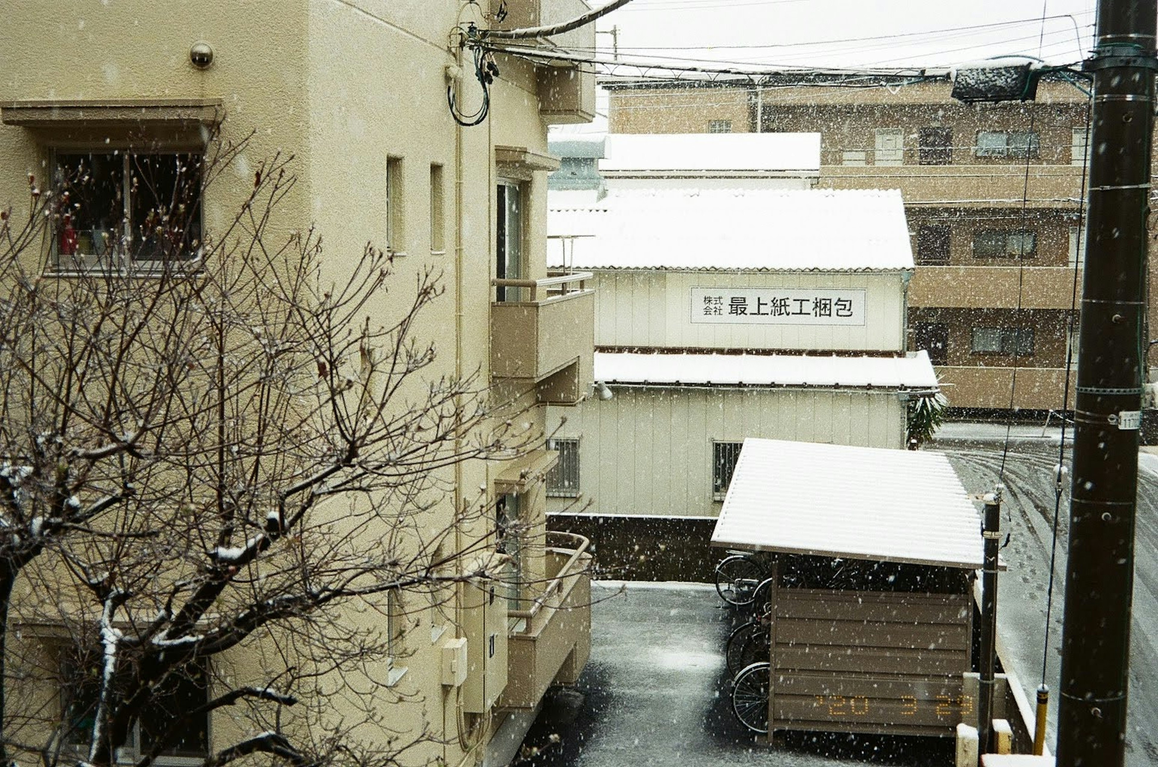 Snowy urban scene with buildings and a tree