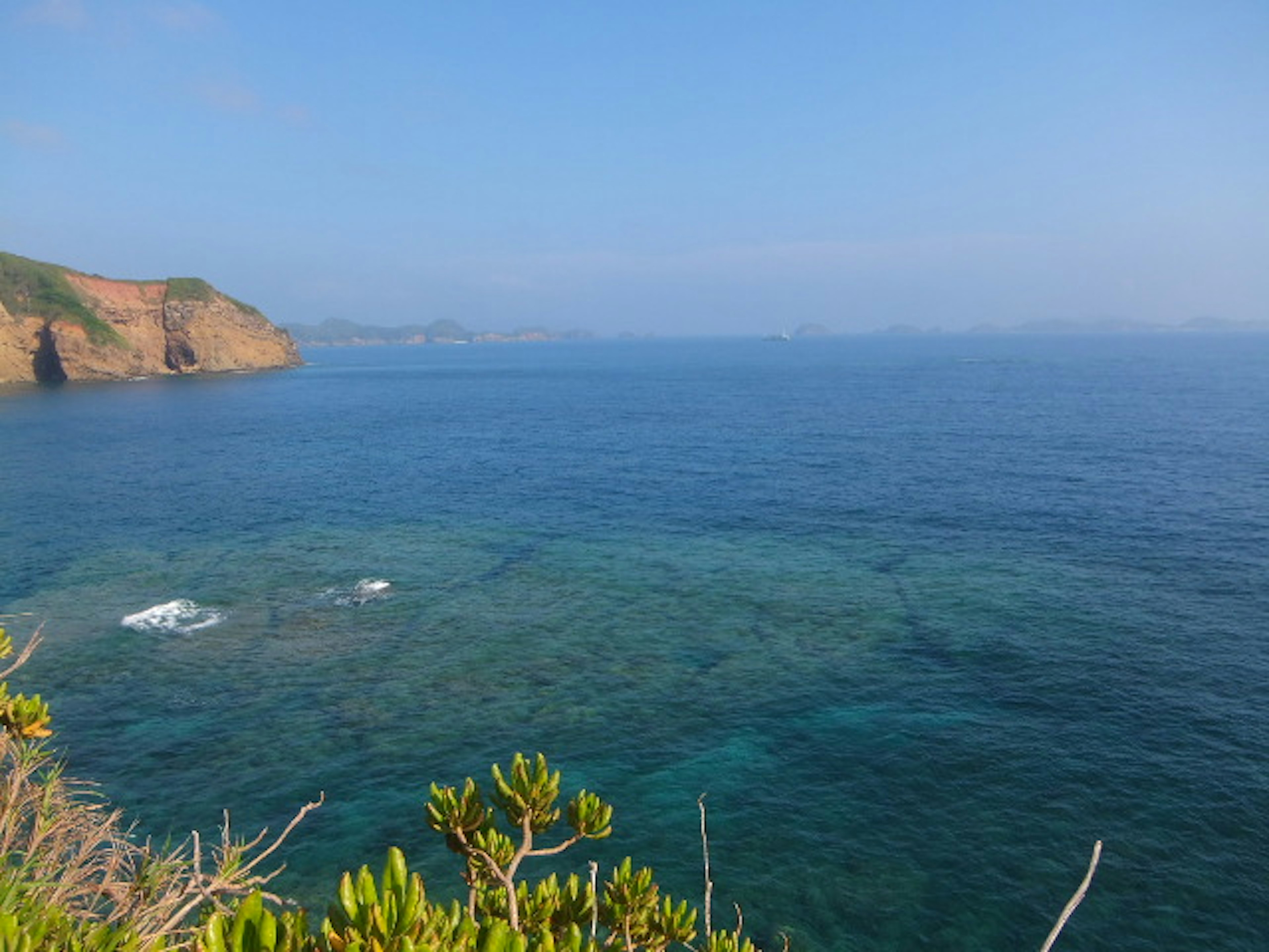 青い海とクリアな水面の風景 植物と崖が見える