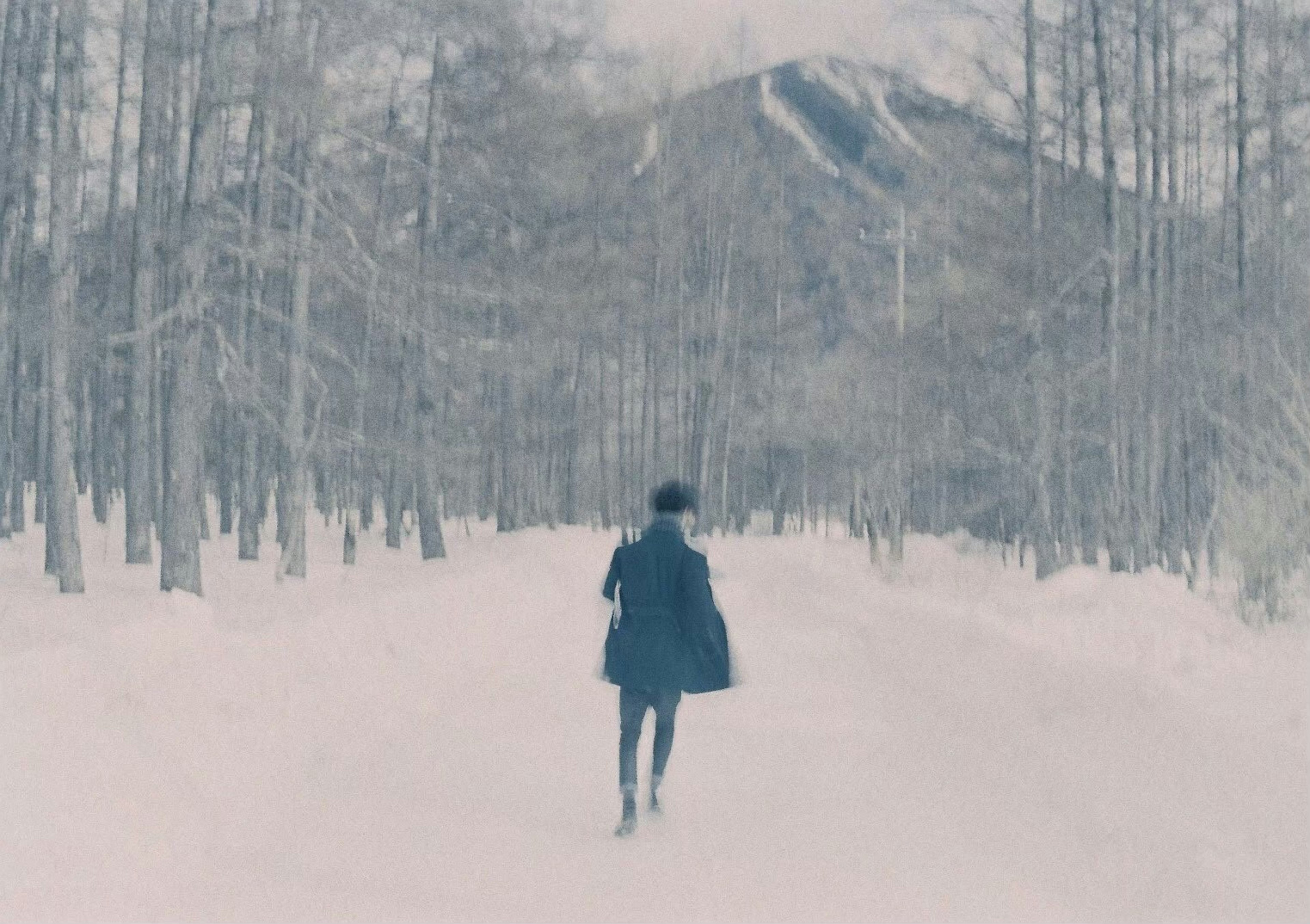 雪に覆われた道を歩く人物と山の風景