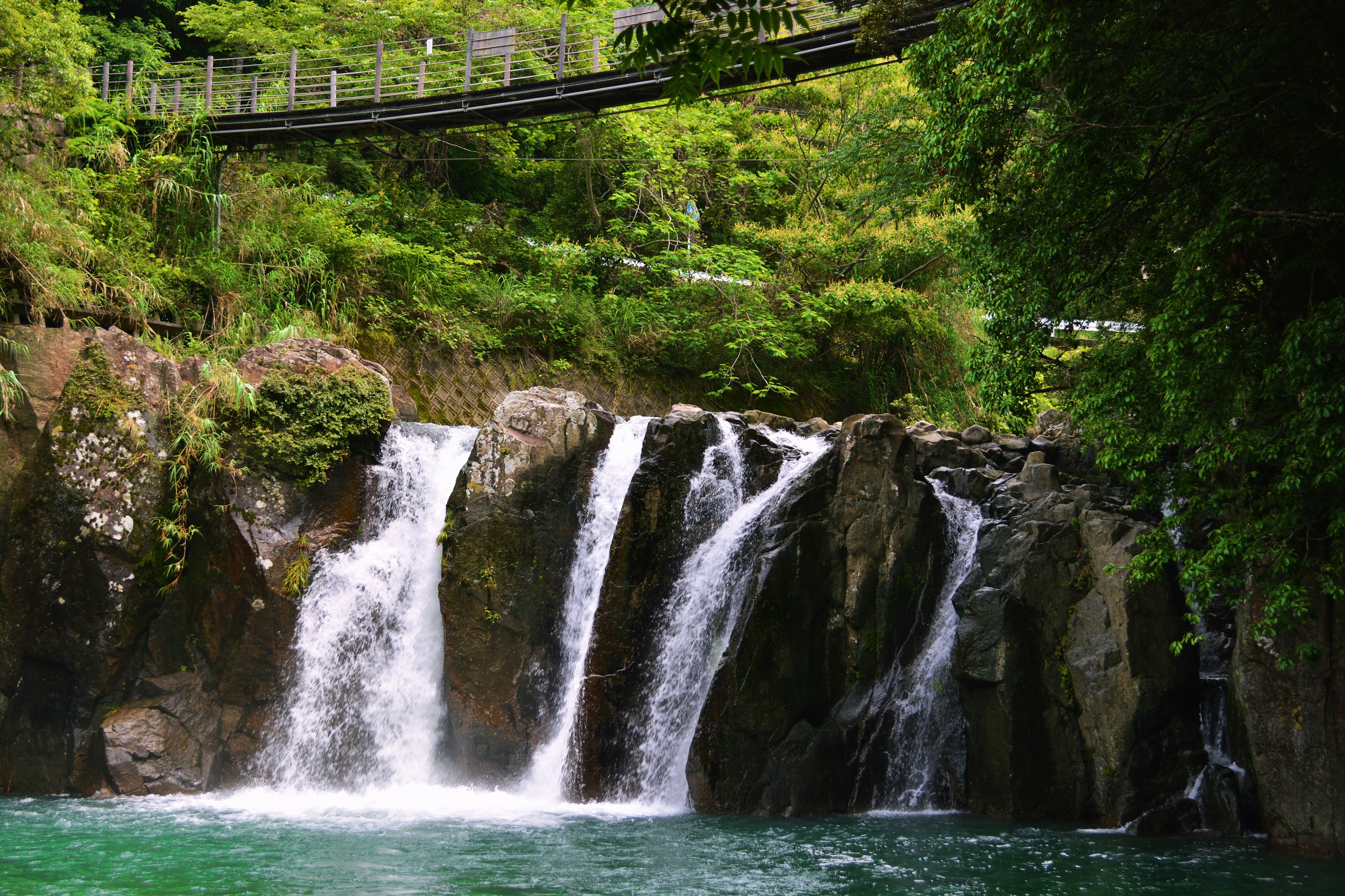 Cascada que cae sobre rocas en una piscina verde serena rodeada de vegetación exuberante