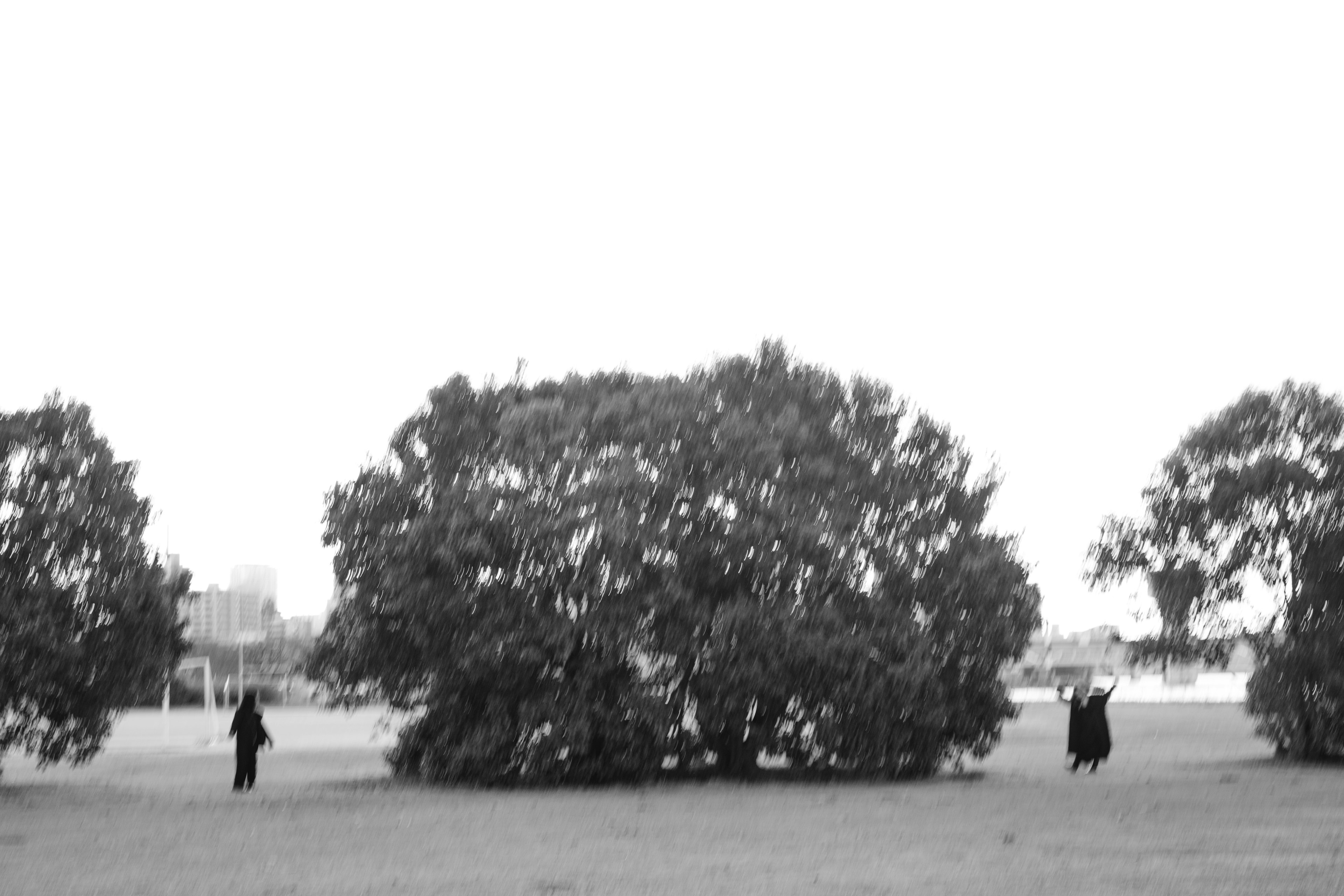 Scena di parco in bianco e nero con due figure vicino a un grande albero