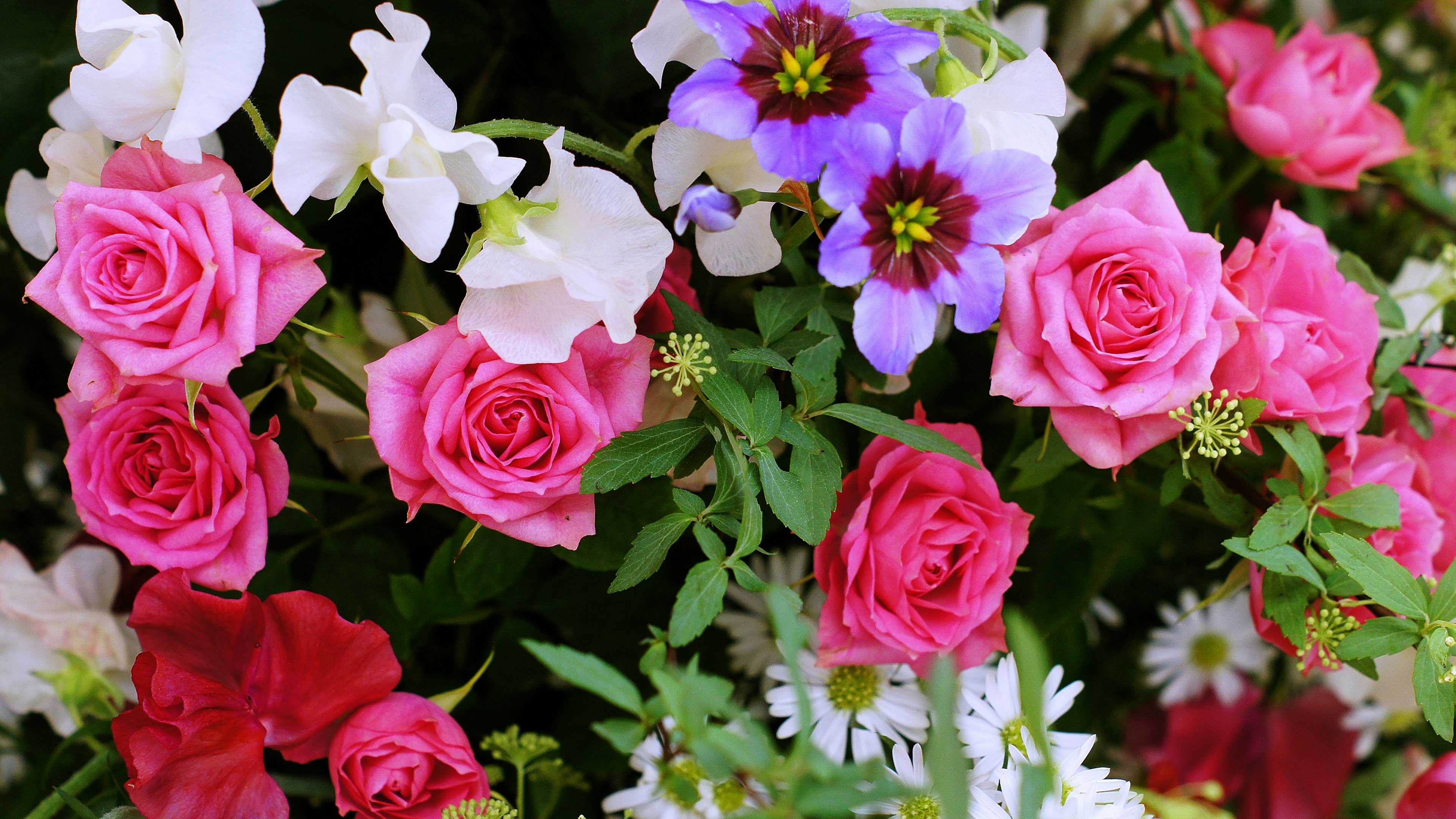 A beautiful bouquet of colorful flowers featuring pink roses and white blooms