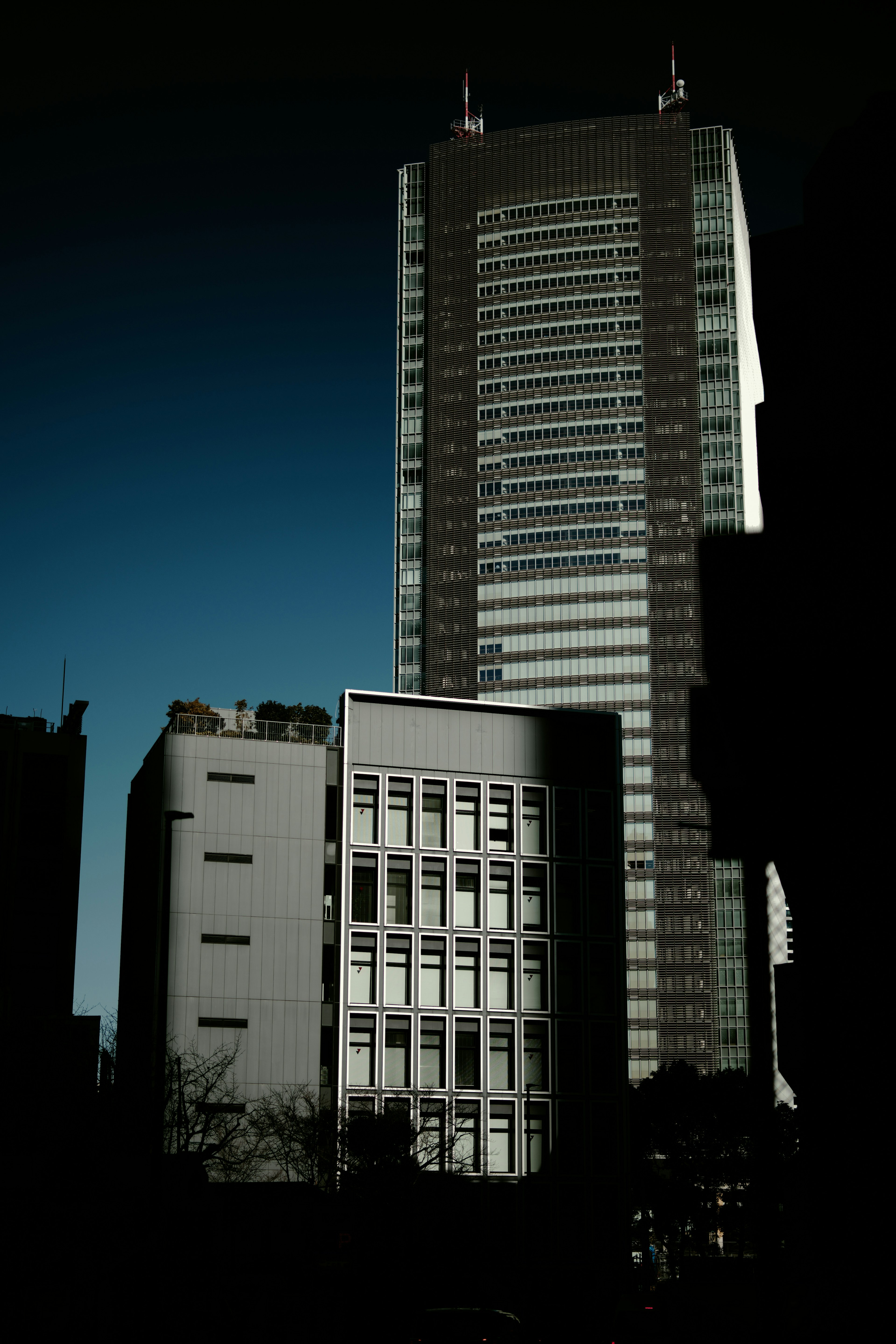 Paysage urbain avec un gratte-ciel et des bâtiments plus bas