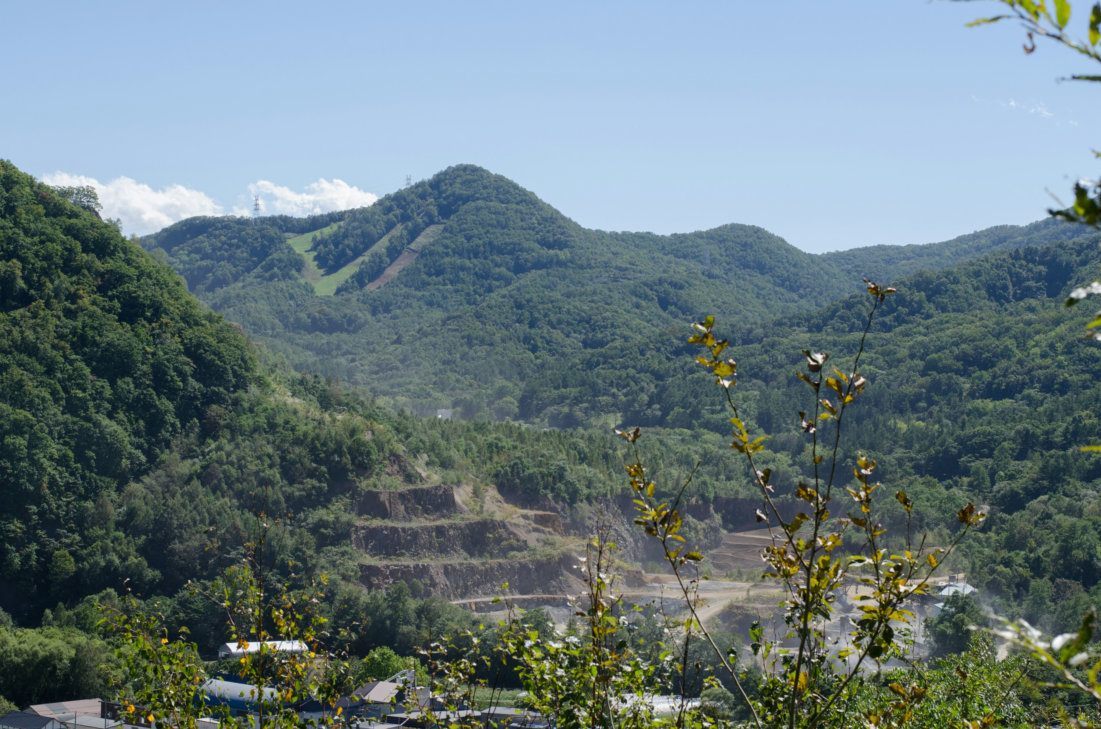 緑豊かな山々と青空の風景で、手前には木々が見える