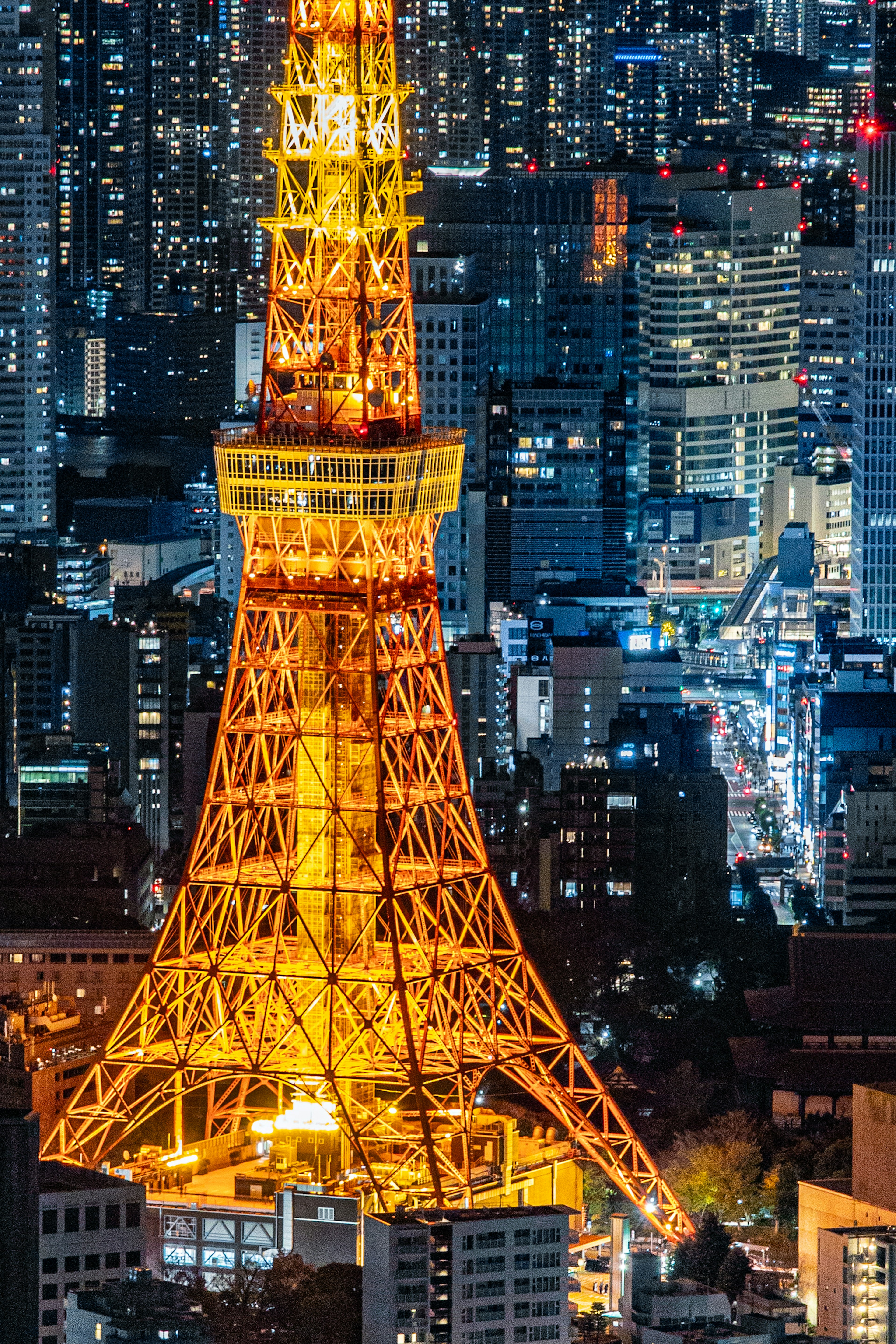 東京タワーの夜景が美しく輝いている