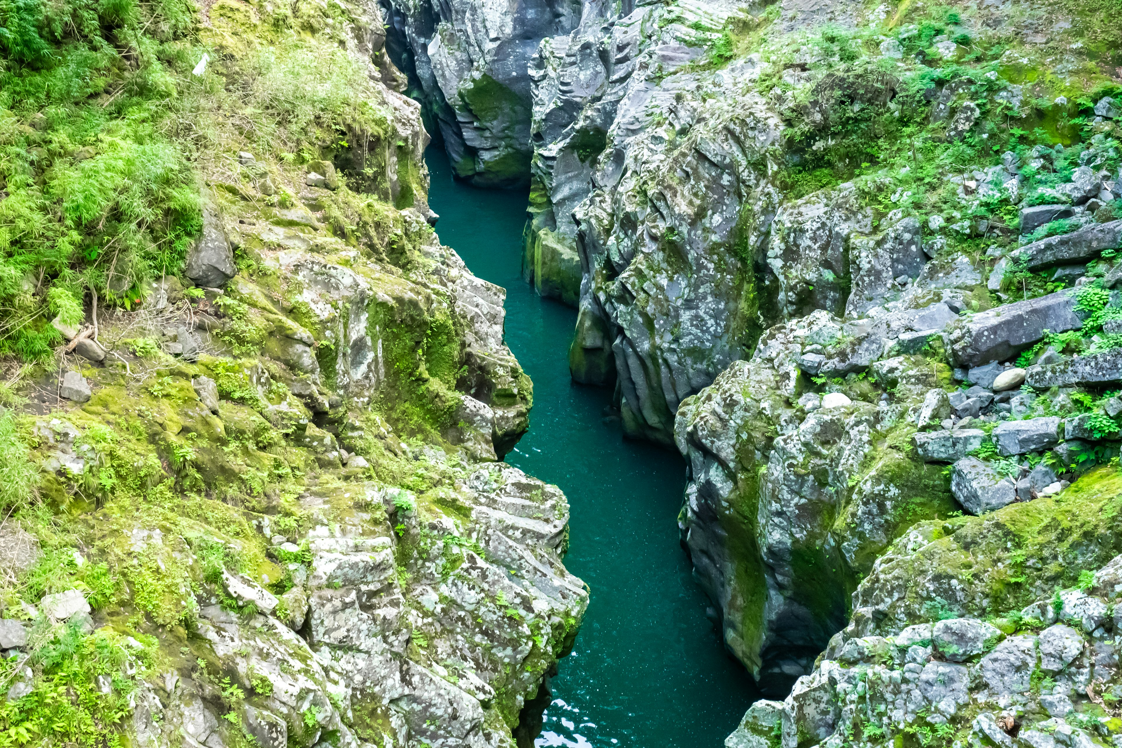 Cañón estrecho con agua turquesa rodeada de rocas cubiertas de musgo