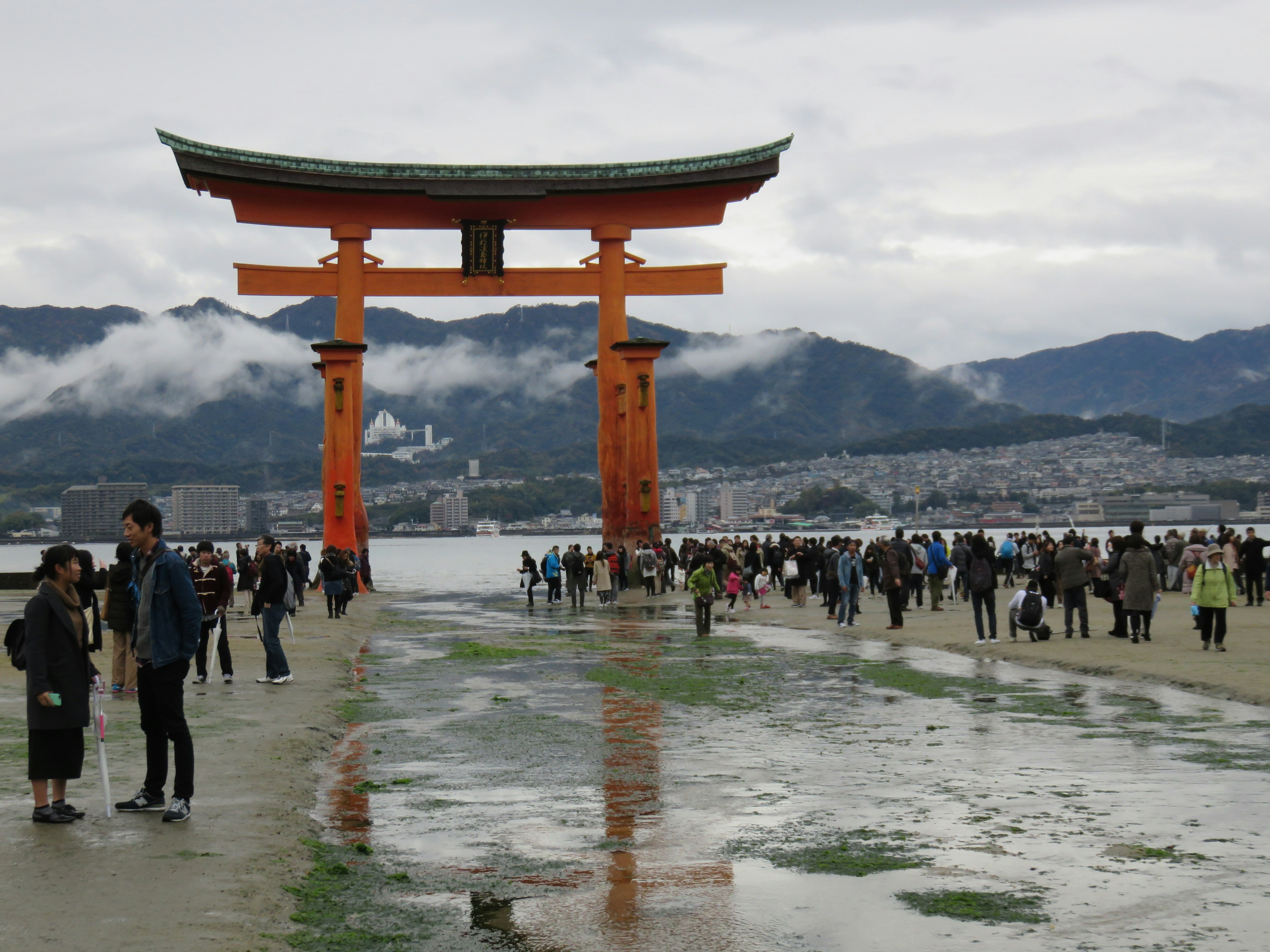 Vue de la porte torii emblématique du sanctuaire d'Itsukushima avec des touristes