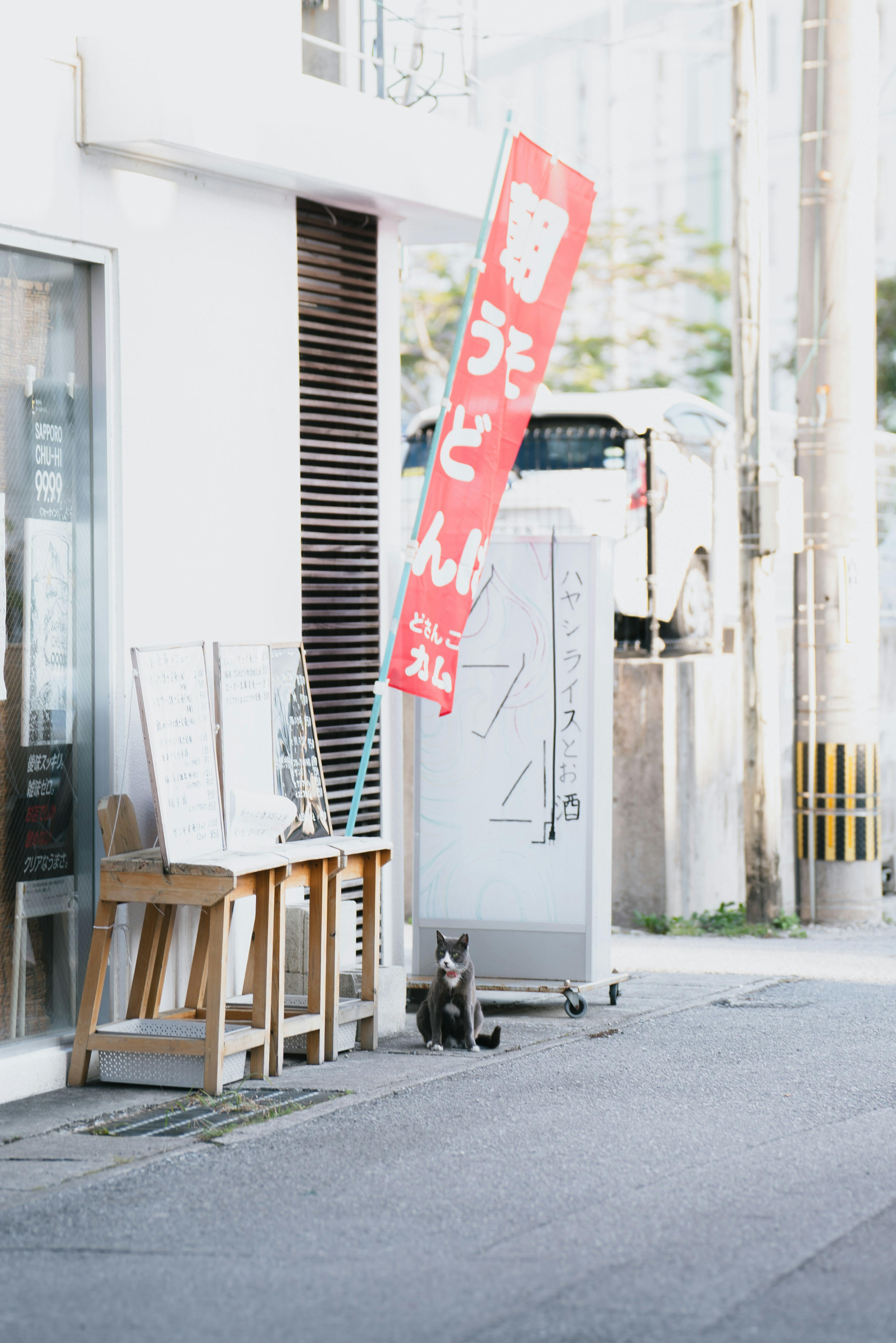 赤い看板が立っている通りに猫がいる風景