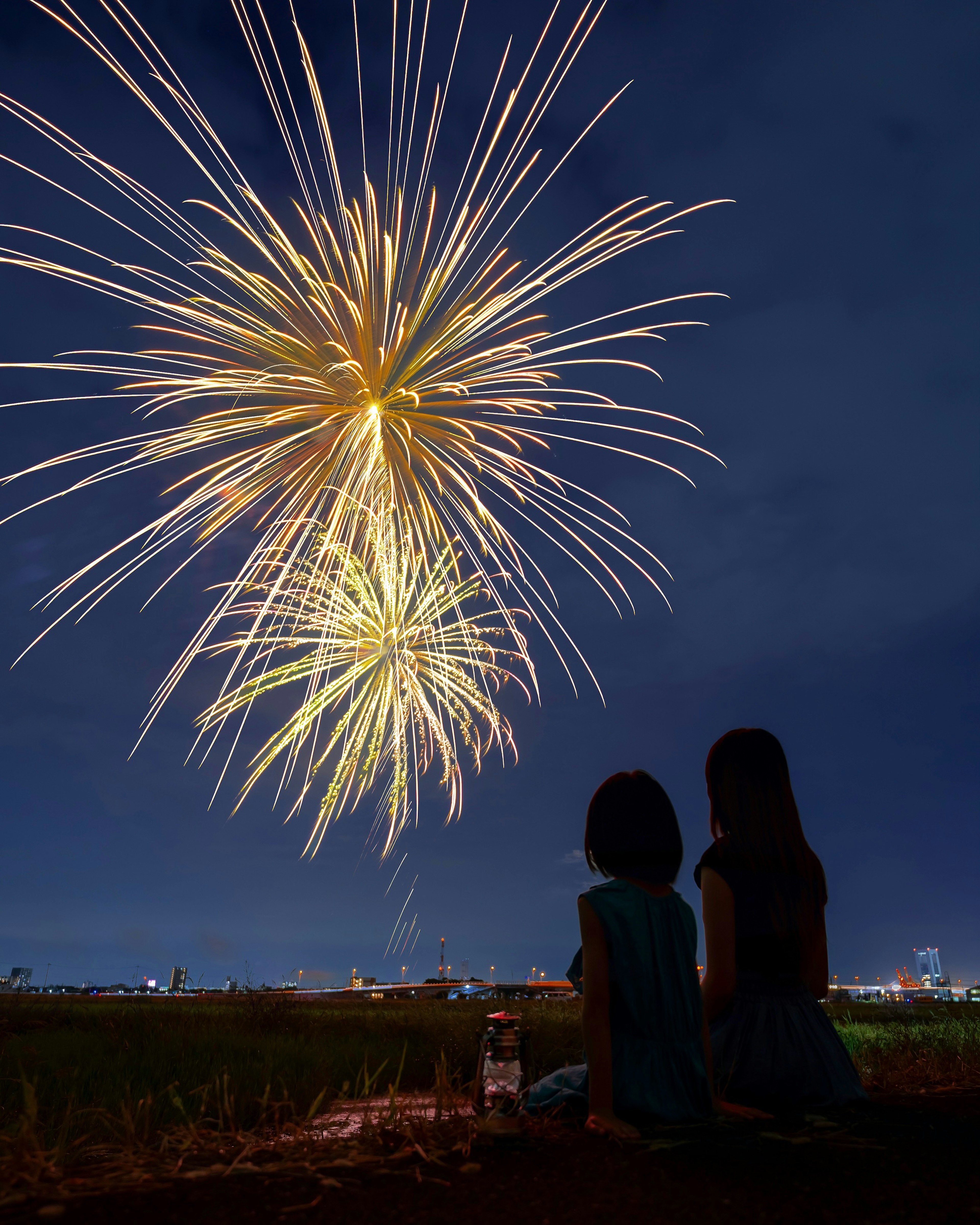 夜空に輝く花火を見上げる二人の子供