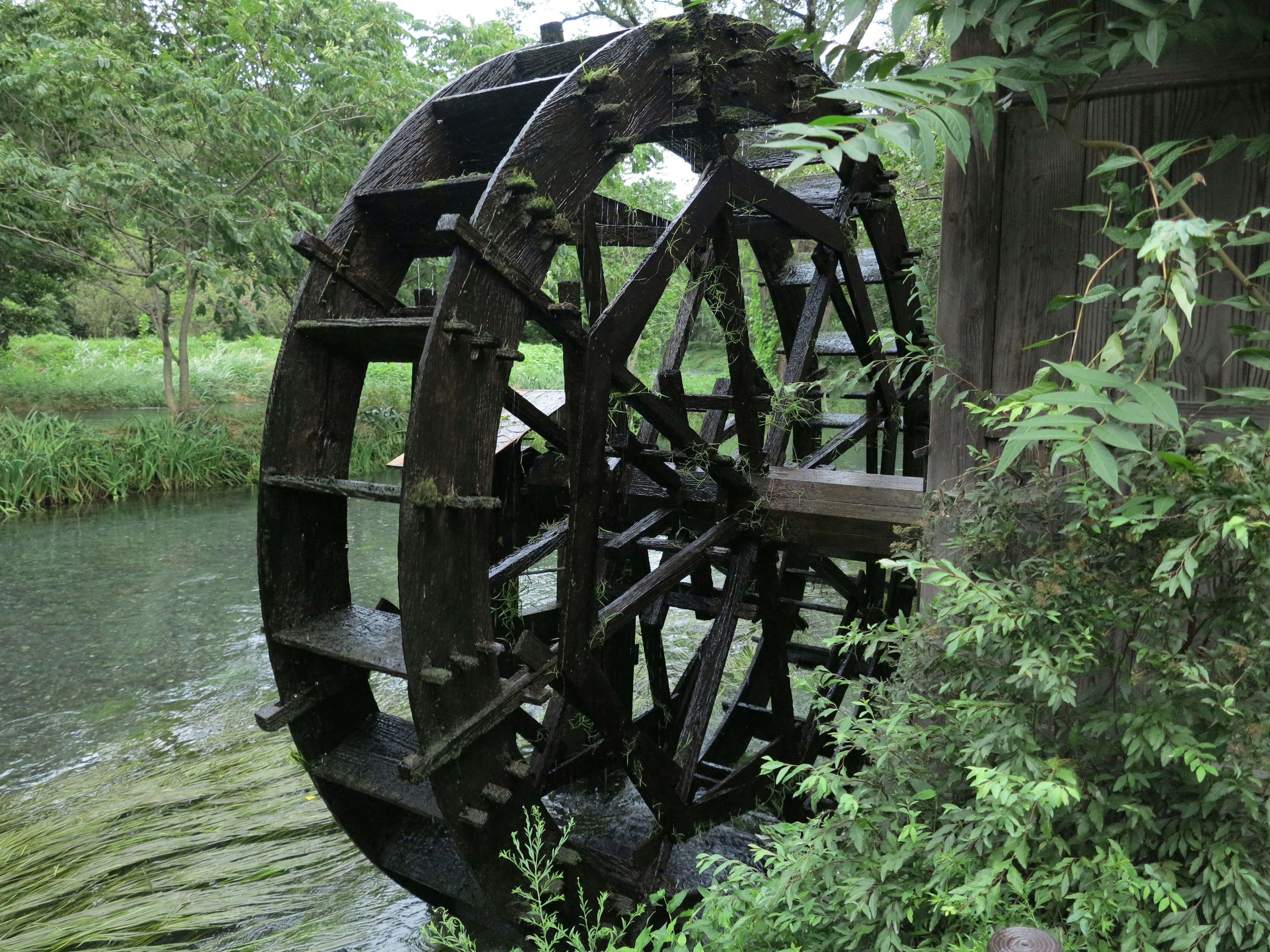 Vue latérale d'une roue à eau entourée de verdure