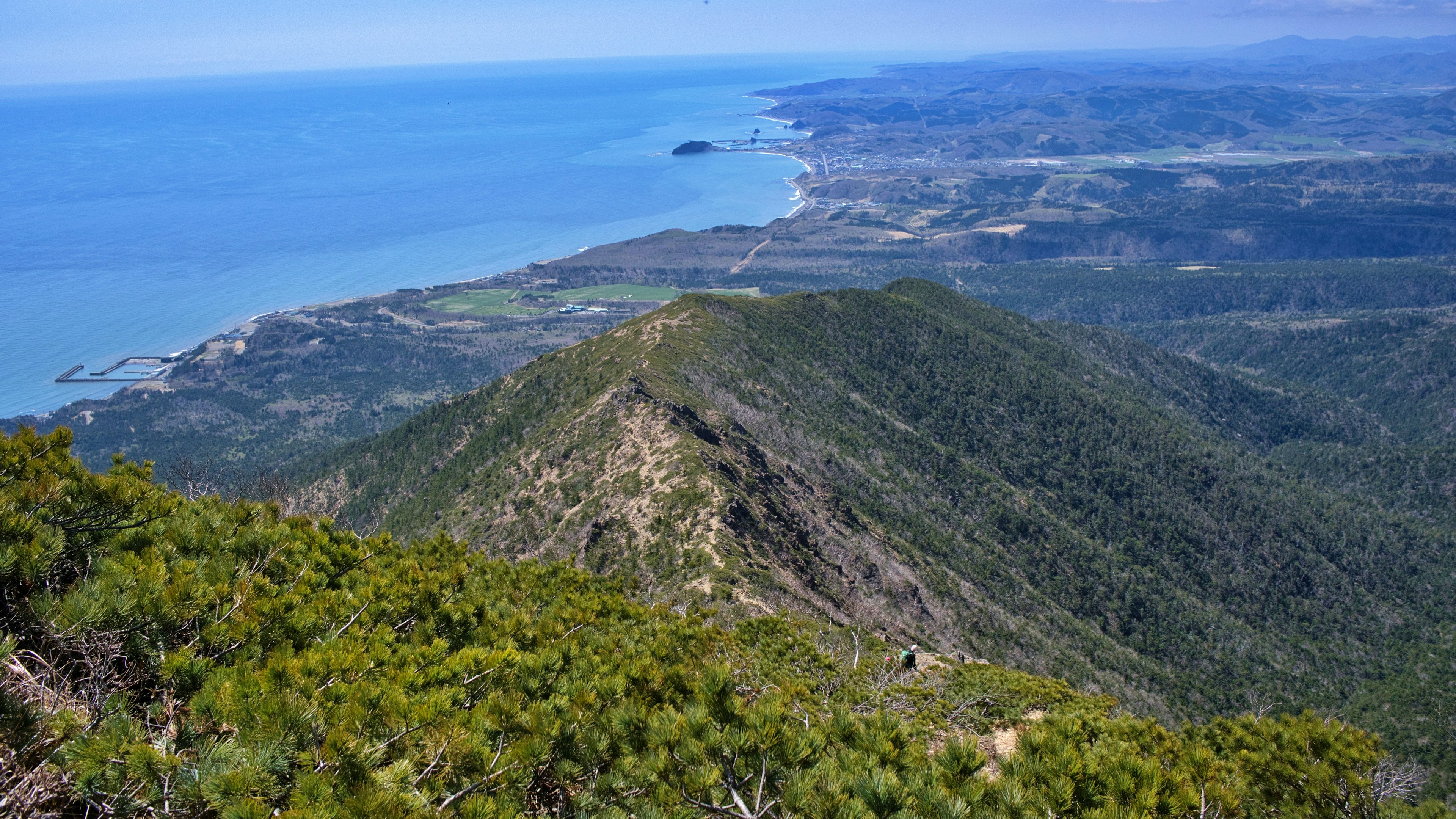 Panoramablick auf die Küste und Berge mit üppigem Grün