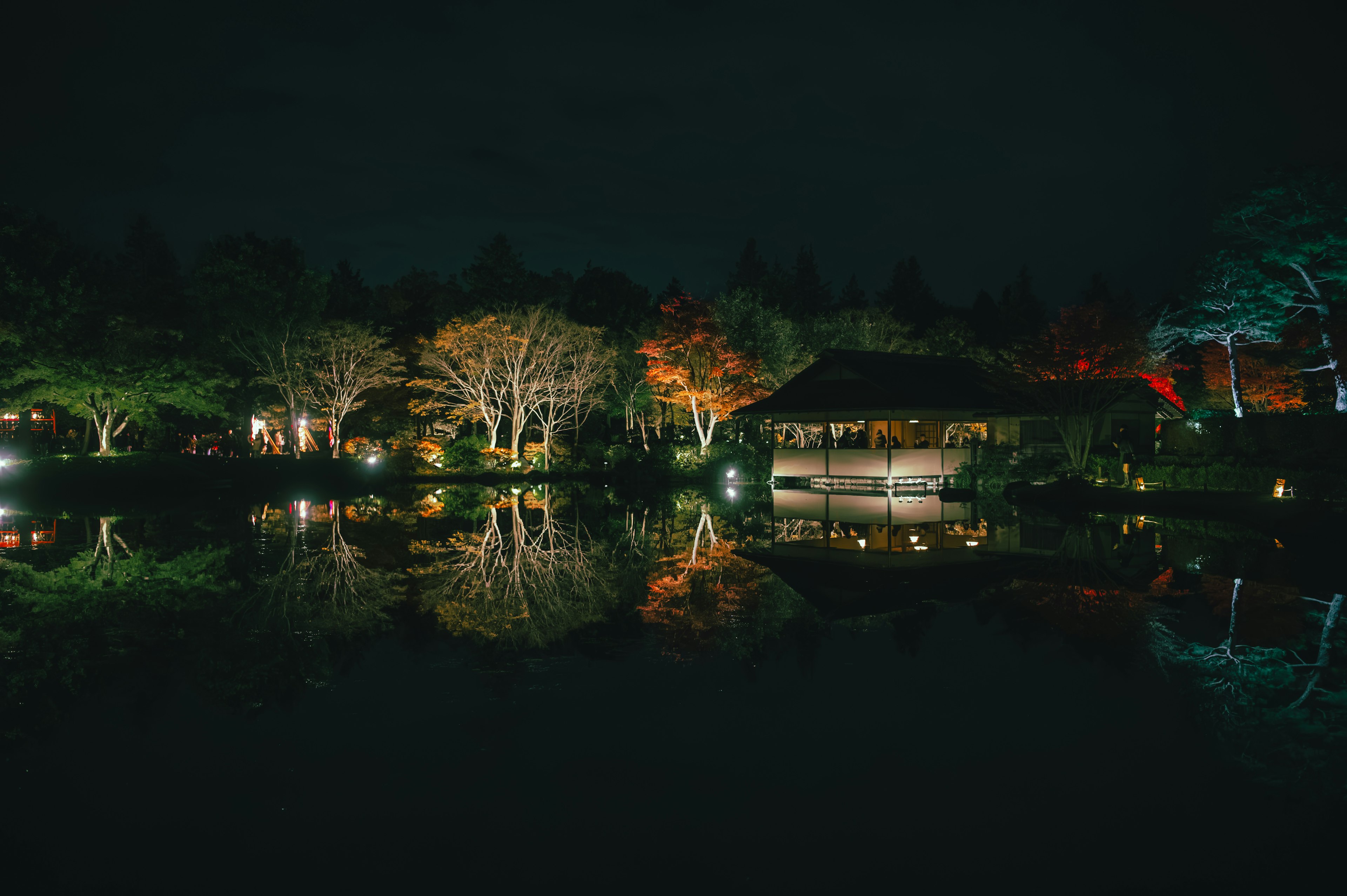 Ruhiger Teich in einem Garten bei Nacht mit schönen Reflexionen der umliegenden Bäume