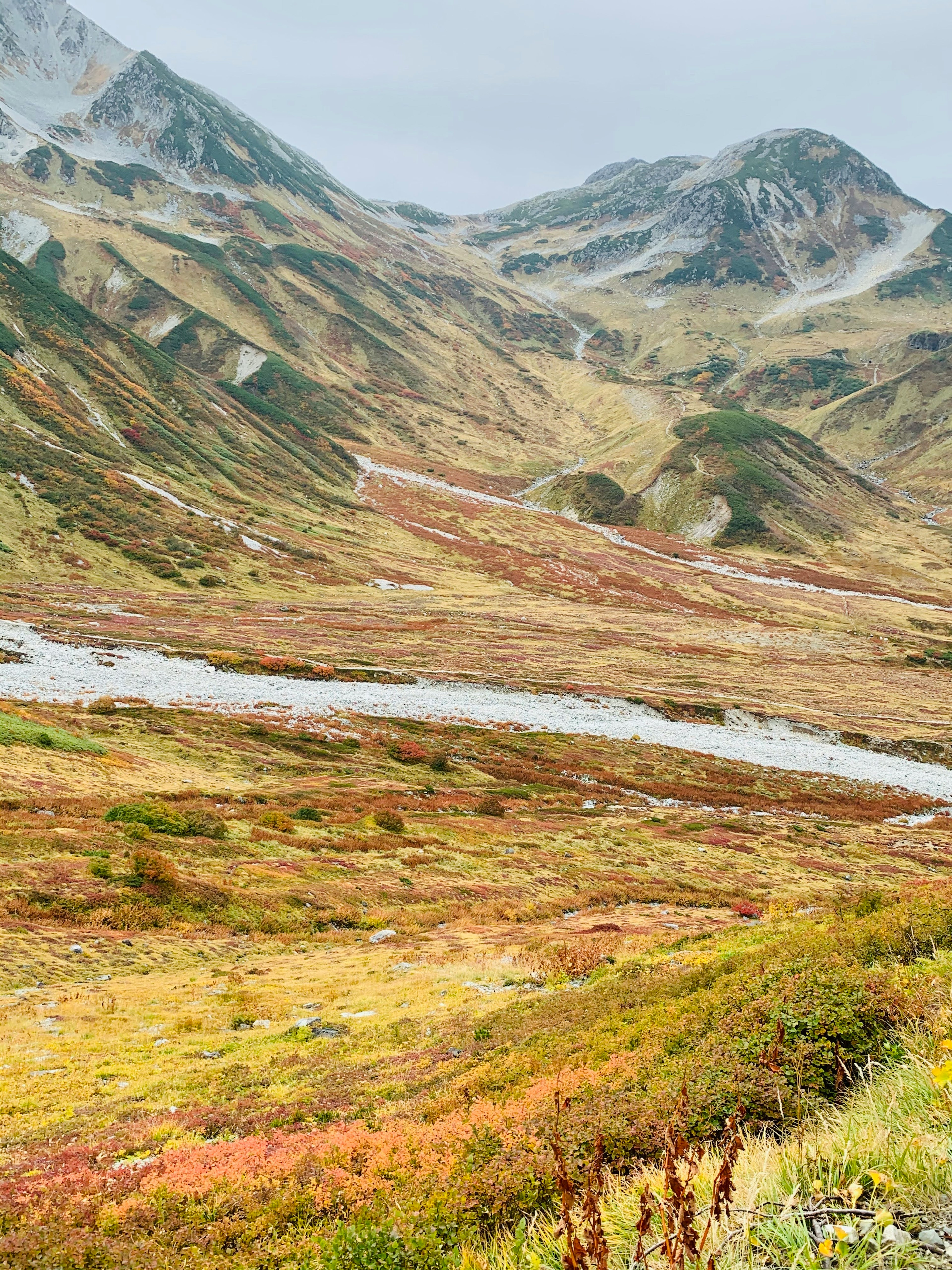 美しい山々と色とりどりの草原が広がる風景