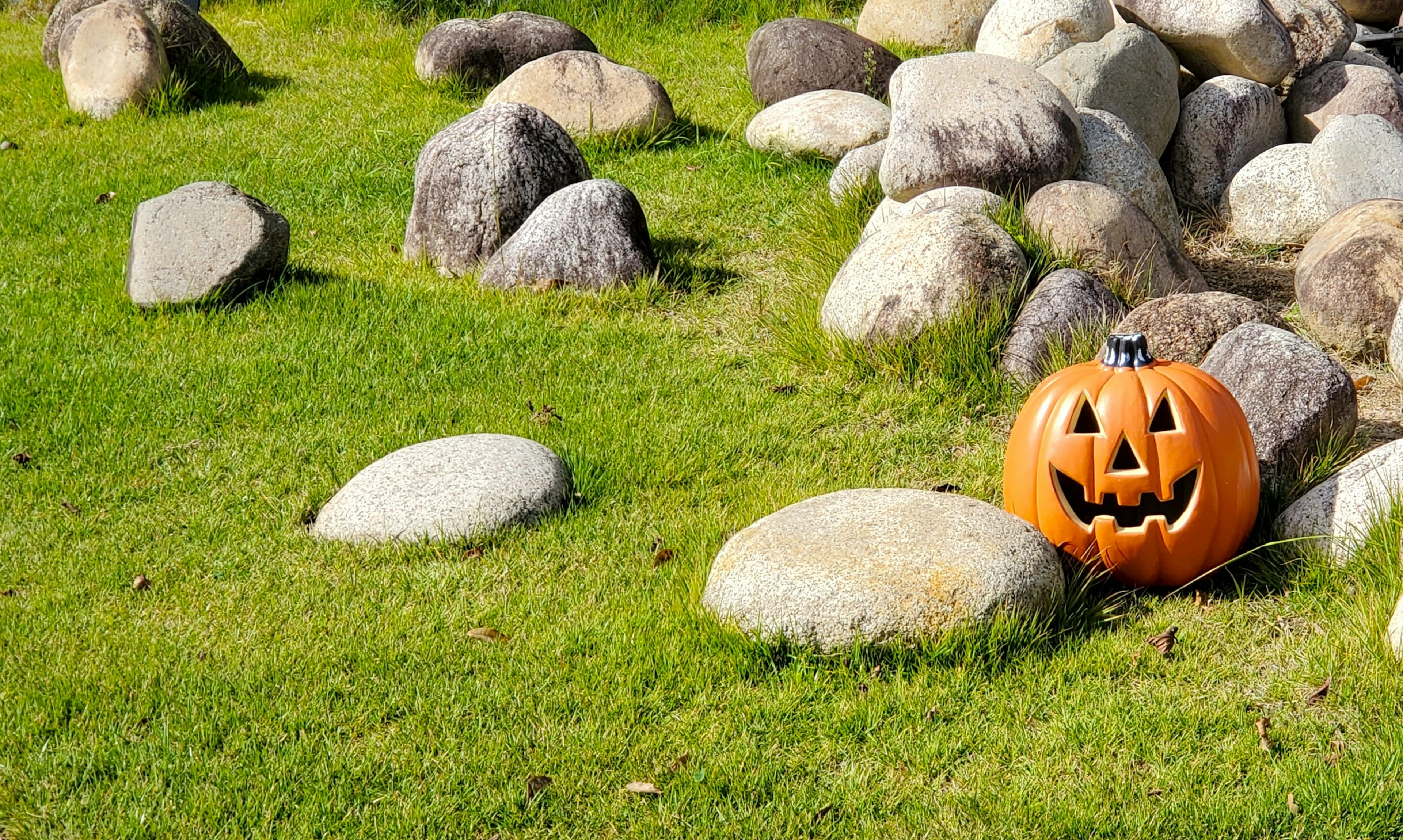 A jack-o'-lantern on green grass next to large stones