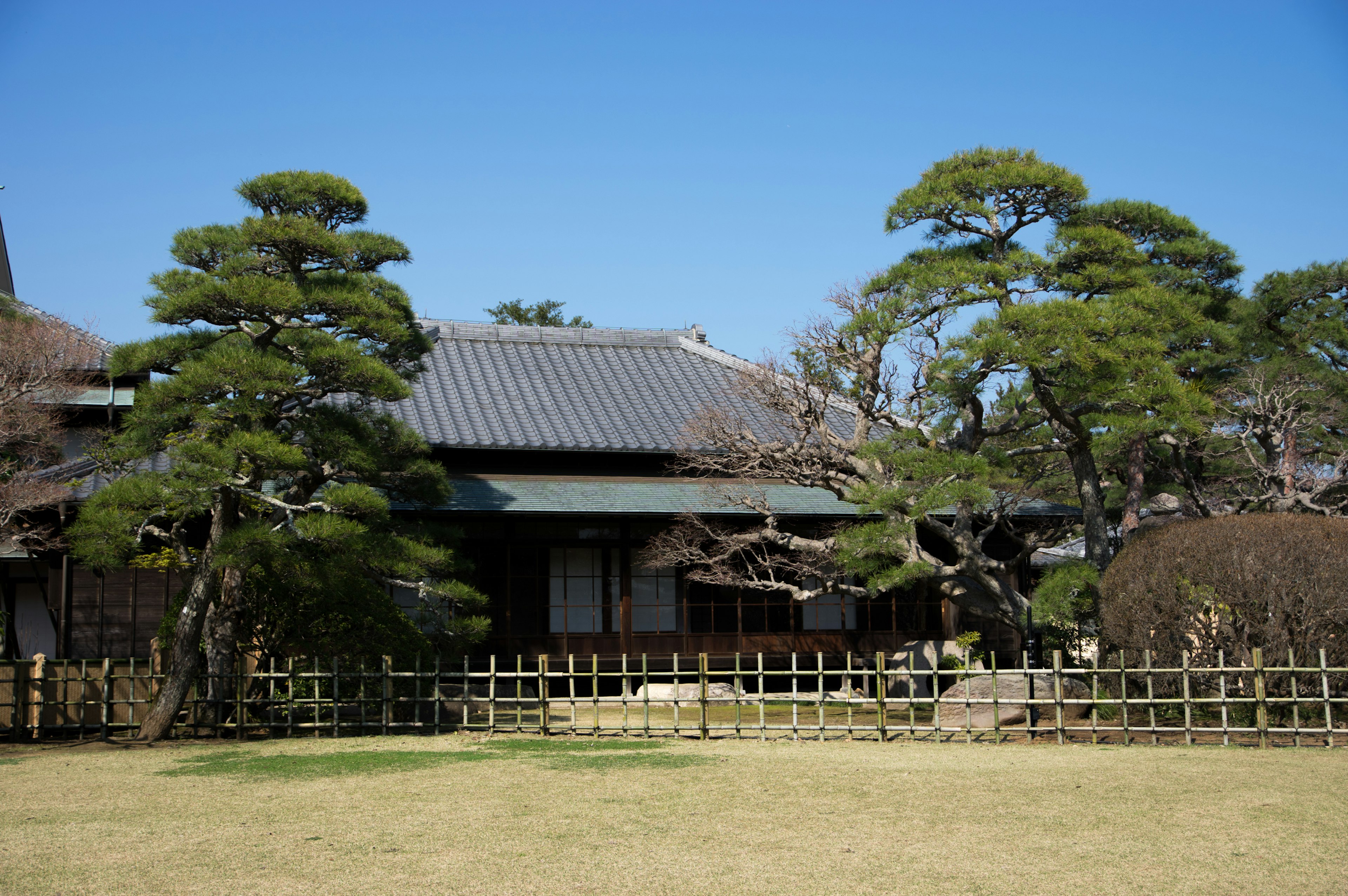 Casa japonesa tradicional con jardín, árboles de pino y cielo azul claro