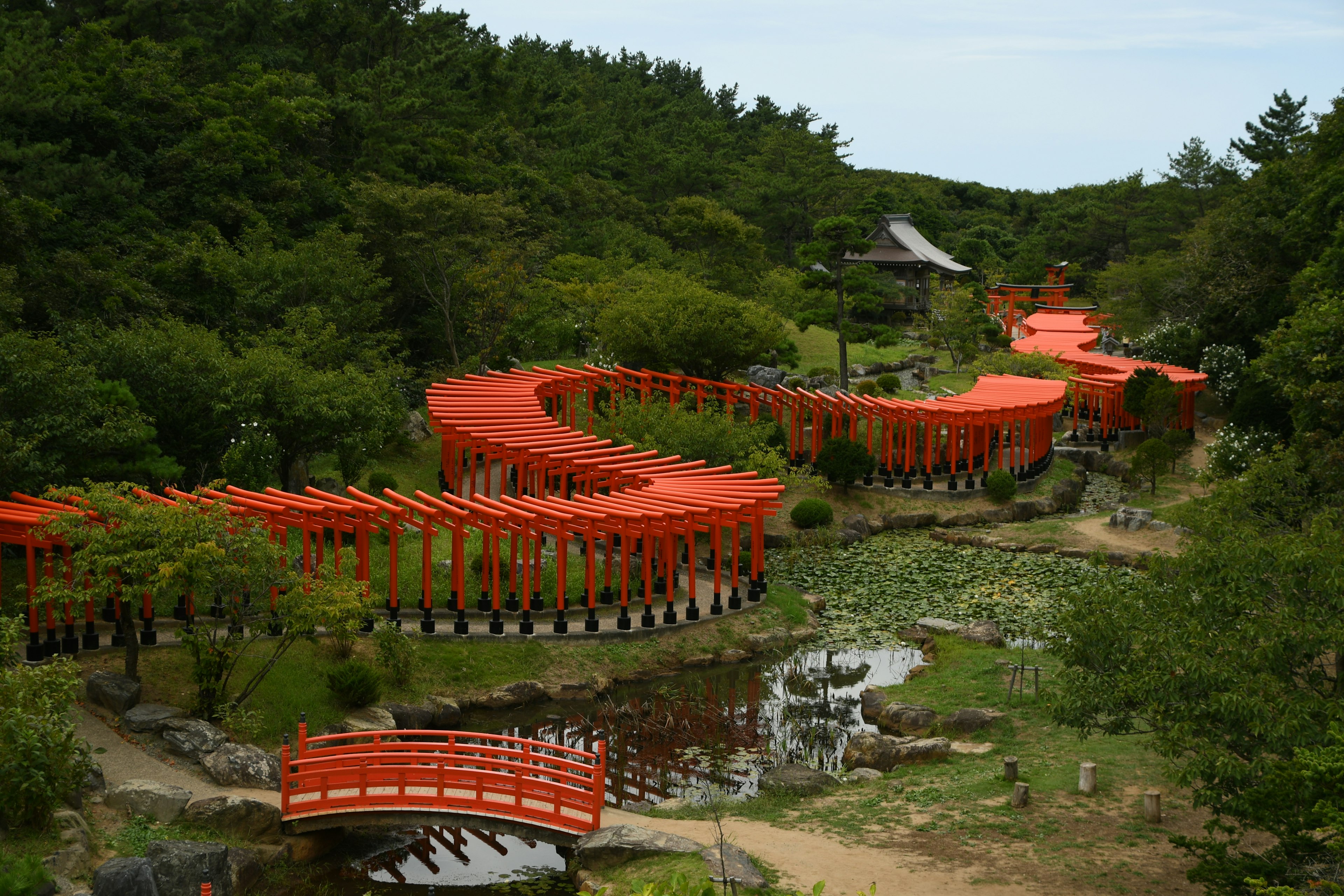 A winding path and red bridges in a Japanese garden surrounded by lush greenery